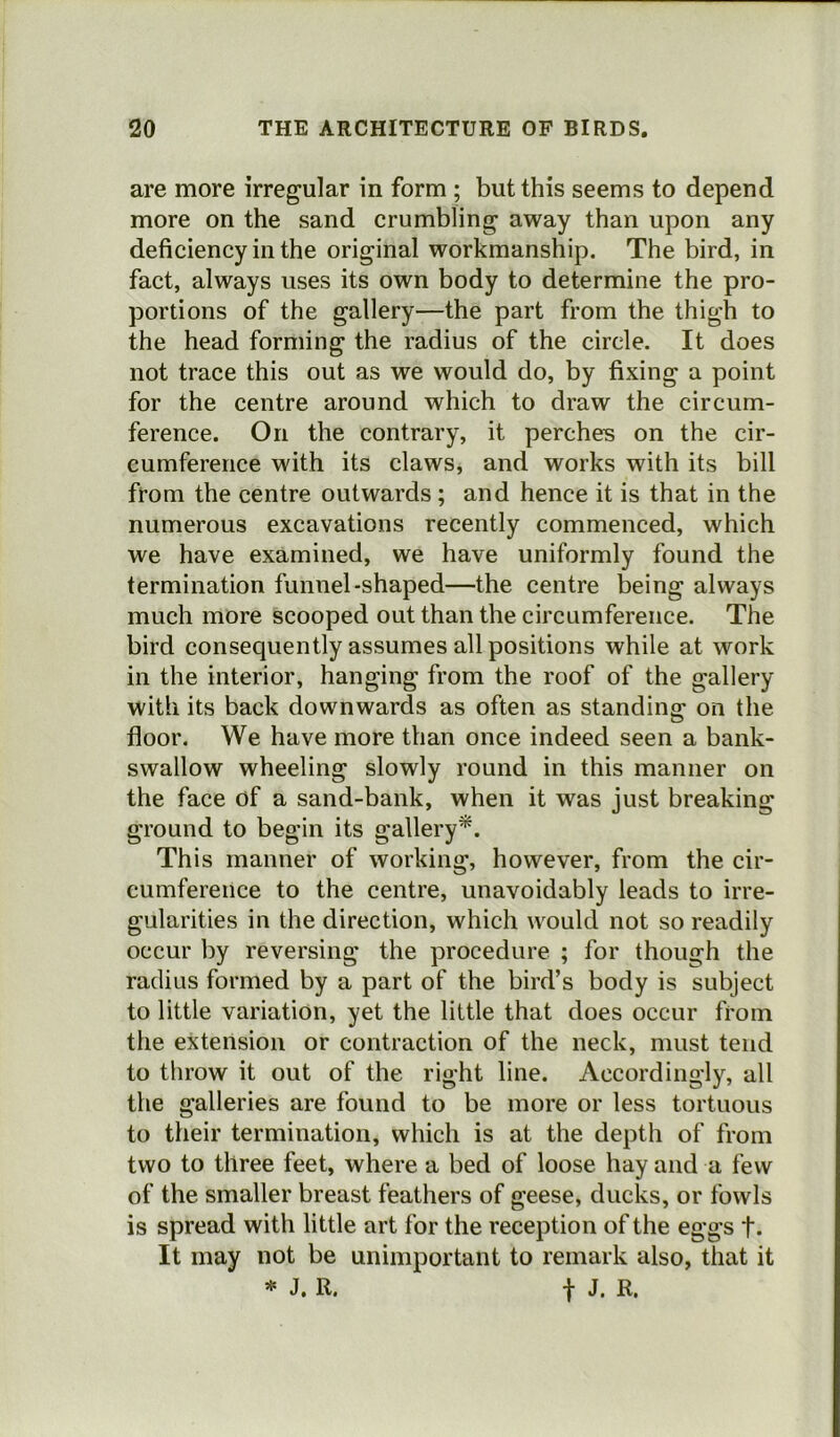 are more irregular in form ; but this seems to depend more on the sand crumbling away than upon any deficiency in the original workmanship. The bird, in fact, always uses its own body to determine the pro- portions of the gallery—the part from the thigh to the head forming the radius of the circle. It does not trace this out as we would do, by fixing a point for the centre around which to draw the circum- ference. On the contrary, it perches on the cir- cumference with its claws, and works with its bill from the centre outwards ; and hence it is that in the numerous excavations recently commenced, which we have examined, we have uniformly found the termination funnel-shaped—the centre being always much more scooped out than the circumference. The bird consequently assumes all positions while at work in the interior, hanging from the roof of the gallery with its back downwards as often as standing on the floor. We have more than once indeed seen a bank- swallow wheeling slowly round in this manner on the face of a sand-bank, when it was just breaking ground to begin its gallery*. This manner of working, however, from the cir- cumference to the centre, unavoidably leads to irre- gularities in the direction, which would not so readily occur by reversing the procedure ; for though the radius formed by a part of the bird’s body is subject to little variation, yet the little that does occur from the extension or contraction of the neck, must tend to throw it out of the right line. Accordingly, all the galleries are found to be more or less tortuous to their termination, which is at the depth of from two to three feet, where a bed of loose hay and a few of the smaller breast feathers of geese, ducks, or fowls is spread with little art for the reception of the eggs f. It may not be unimportant to remark also, that it * J. R. f J. R.