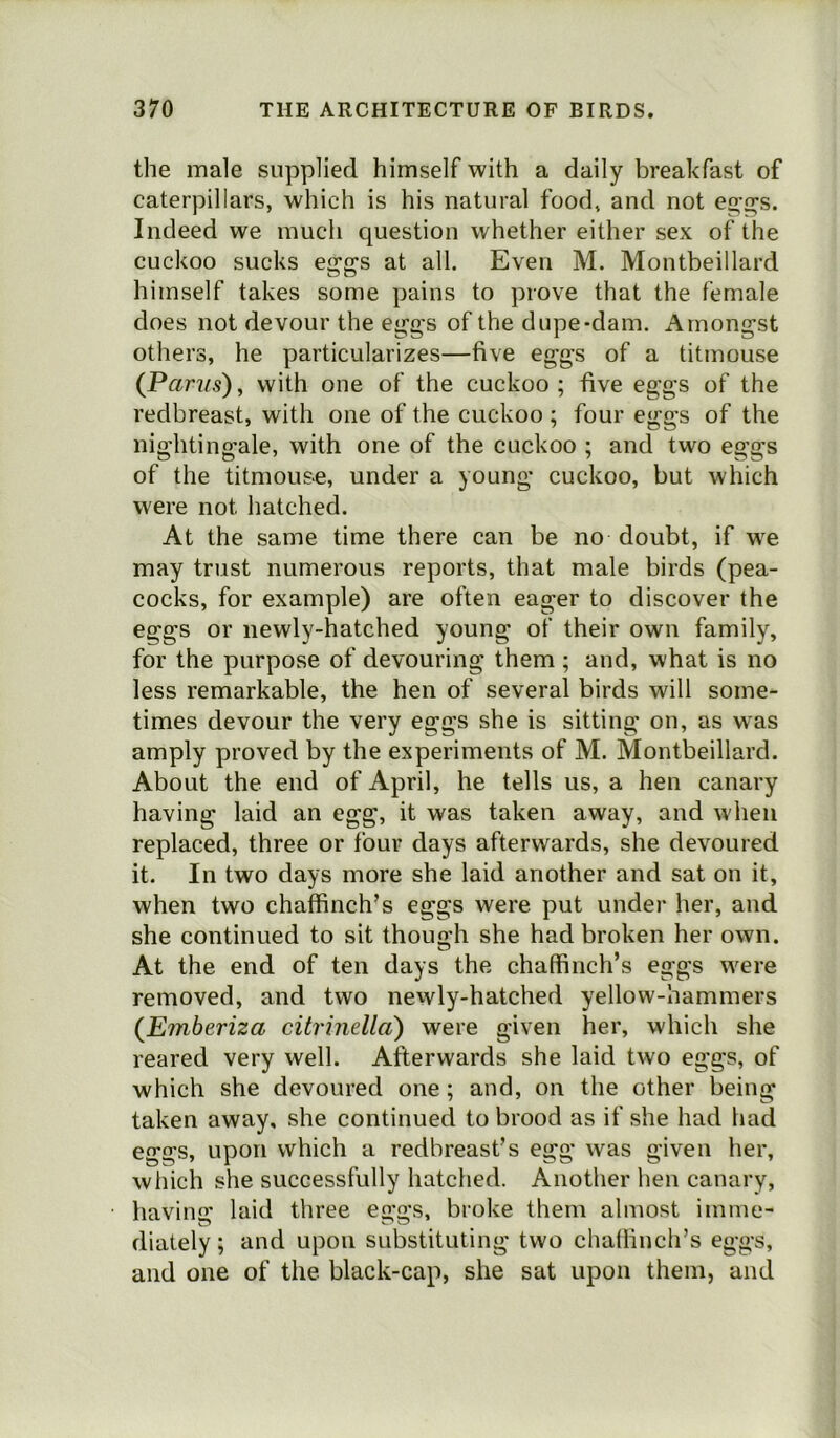 the male supplied himself with a daily breakfast of caterpillars, which is his natural food, and not eggs. Indeed we much question whether either sex of the cuckoo sucks eggs at all. Even M. Montbeillard himself takes some pains to prove that the female does not devour the eggs of the dupe-dam. Amongst others, he particularizes—five eggs of a titmouse (Pants), with one of the cuckoo; five eggs of the redbreast, with one of the cuckoo ; four eggs of the nightingale, with one of the cuckoo ; and two eggs of the titmouse, under a young cuckoo, but which were not hatched. At the same time there can be no doubt, if we may trust numerous reports, that male birds (pea- cocks, for example) are often eager to discover the eggs or newly-hatched young of their own family, for the purpose of devouring them ; and, what is no less remarkable, the hen of several birds will some- times devour the very eggs she is sitting on, as was amply proved by the experiments of M. Montbeillard. About the end of April, he tells us, a hen canary having laid an egg, it was taken away, and when replaced, three or four days afterwards, she devoured it. In two days more she laid another and sat on it, when two chaffinch’s eggs were put under her, and she continued to sit though she had broken her own. At the end of ten days the chaffinch’s eggs were removed, and two newly-hatched yellow-hammers (Emberiza citrinella) were given her, which she reared very well. Afterwards she laid two eggs, of which she devoured one; and, on the other being taken away, she continued to brood as if she had had eggs, upon which a redbreast’s egg was given her, which she successfully hatched. Another hen canary, having laid three eggs, broke them almost imme- diately ; and upon substituting two chaffinch’s eggs, and one of the black-cap, she sat upon them, and