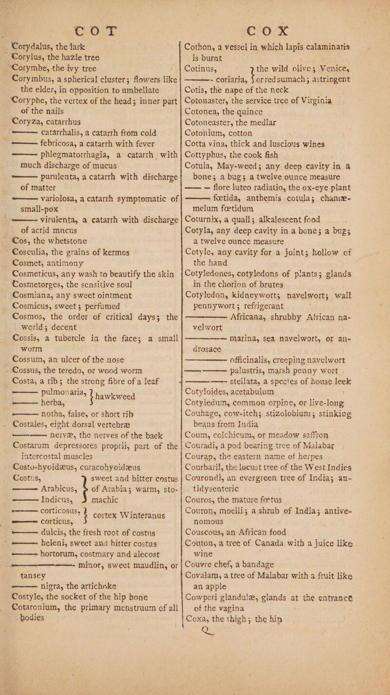 coT Corydalus, the lark ‘Corymbe, the ivy tree Corymbus, a spherical cluster; flowers like the elder, in opposition to umbellate ‘Coryphe, the vertex of the head; inner part of the nails CoryZa, catarrhus -——— catarrhalis, a catarrh from cold -——— febricosa, a catarrh with fever -—— phlegmatorrhagia, a catarrh with much discharge of mucus =——— purulenta, a catarrh with discharge of matter =——— variolosa, a catarrh symptomatic of small-pox ——— virulenta, a catarrh with discharge of acrid mucus Cos, the whetstone Cosculia, the grains of kermes Cosmet, antimony Cosmeticus, any wash to beautify the skin Cosmetorges, the sensitive soul Cosmiana, any sweet ointment Cosmicus, sweet 3 perfumed Cosmos, the order of critical days; the worlds; decent Cossis, a tubercle in the face; a small worm Cossum, an ulcer of the nose Cossus, the teredo, or weod worm Costa, a rib; the strong fibre of a leaf pulmonaria, th awievicea notha, false, or short rib Costales, eight dorsal vertebrae —_—— nerve, the nerves of the back Costarum depressores proprii, part of the intercostal muscles Costu-hyoidaus, caracohyoideus Costus, sweet and bitter cnstus Arabicus, @ of Arabia; warm, sto- Indicus, machic »———— corticosus, =———= corticus, +——- dulcis, the fresh root of costus -——— heleni, sweet and bitter costus -—— hortorum, costmary and alecost - minor, sweet maudlin, or cortex Winteranus tansey nigra, the artichoke Costyle, the socket of the hip bone Cotarcnium, the primary menstruum of all bodies COX Cothon, a vessel in which lapis calaminaris is burnt Cotinus, the wild olives; Venice, - coriaria, } orredsumach; astringent Cotis, the nape of the neck Cotonaster, the service tree of Virginia Cotonea, the quince Cotoneaster, the medlar Cotonium, cotton Cotta vina, thick and luscious wines Cottyphus, the cook fish Cotula, May-weed; any deep cavity in a bone; a bug; a twelve ounce measure —— — flore luteo radiatio, the ox-eye plant . feetida, anthemis cotula; chame- melum foetidum Coturnix, a quail; alkalescent food Cotyla, any deep cavity in a bone; a bug; a twelve ounce measure Cotyle, any cavity for a joint; hollow of the hand Cotyledones, cotyledons of plants; glands in the chorion of brutes Cotyledon, kidneyworts; navelwort; wall pennywort; refrigerant Africana, shrubby African na- velwort —-— marina, sea navelwort, or an- drosace officinalis, creeping navelwort palustris, marsh penny wort —— stellata, a species of house leek Cotyloides, acetabulum Cotyledum, common orpine, or live-long Couhage, cow-itch; stizolobium; stinking beans from India Coum, colchicum, or meadow saffron Couradi, a pod bearing tree of Malabar Courap, the eastern name of herpes Courbaril, the locust tree of the West Indies Courondi, an evergreen tree of India; an- tidysenteric Couros, the mature feetus Couron, moelli; a shrub of India; antive- nomous Couscous, an African food Couton, a tree of Canada with a juice like wine Couvre chef, a bandage Covalam, a tree of Malabar with a fruit like an apple Cowperi glandulz, glands at the entrance of the vagina Coxa, the thigh; the hip Q