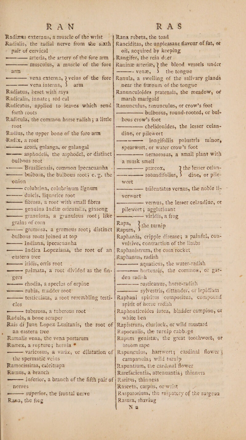 RAN Radiens externus, 2 muscle of the wrist Radialis, the radial nerve from the sixth pair of cervical -——-—— arteria, the artery of the fore arm ———— musculus, a muscle of the fore arm -———— vena externa, wa of the fore ———— vena interna, arm Radiatus, beset with rays Radicalis, innate; rad cal ‘Radicatus, applied to leaves which send forth roots ‘Radicula, the common horse radish; a Httle root Radius, the upper bone of the fore arm Radix, a root ———— acori, galanga, er galangal —— asphodeli, the asphodel, or distinct Dulbous root Brasiliensis, common ipecacuanha . -———— buibosa, the bu!bous root; e.g. the ‘onion -—— colubrina, colubrinum lignum ——— dulcis, liquorice root =——— fibrosa, 2 root with small fibres ——— genuina Indie oriental's, ginseng -—— granulosa, a granulous root; like grains of corn ——— grumosa, a grumous root; distinct bulbous roots joined at top —— Indiana, ipecacuanha -—— Indica Lopeziana, the root of an eastern tree -—— iridis, orris root ———— palmata, a root divided as the fin- ‘gers -——— rhodia, a species of orpine w—— rubia, madder reot: ——_— testicujata, a root resembling testi- cles -—— tuberosa, a tuberous root Radula, a bone scraper Rais di Juan Lopez Lusitanis, the root of an eastern tree Ramalis vena, the vena portarum Ramex, arupture; hernia * varicosus, a varix, or dilatation of ihe spermatic veins Ramocissima, calcitrapa Ramus, a branch inferior, a branch of the fifth pair of nerves ; _—— superior, the frontal nerve Rana, the flog . RAS Ranciditas, the unpleasant favour of fat, or oil, acquired by keeping Raninz arteria, q the blood vessels under -vene, J the tongue Ranula, a swelling of the salivary glands near the frenum of the tongue marsh marigold Ranunculus, ranunculus, or crow’s foot bulbosus, round-rooted, or bul- bous crow’s foot —— chelidonides, the lesser celan- dine, or pilewort longifoliis palustris spearwort, or water crow’s foot ——— nemorosus, a small plant with a musk smell ; — minor, —— przcox, the lesser celan- — rotundifolius, 3 dine, or pile- wort —— tridentatus vernus, the noble ) verwort ——oe vernus, the lesser celandine, ot pilewort; agglutinant —— viridis, a frog Rapa, Rapum, Raphania, cripple disease; a painfiu, cOll- vulsive, contraction of the jinibs Raphanistrum, the corn rocket Raphanus, radish ———— aquaticus, the water-radish ——-—~— horiensis, the common, of gar- den radish ———— rusticanus, horse-radish —-—— sylvestris, dittander, or lepidium Raphani spiritus compositus, compound spirit of horse radish Raphonticoides lutea, bladder campion, of white ben Rapistrum, charlock, or wild mustard Rapocaulis, the turnip cabbage Rapum genista, the great toothwort, or broom rape Rapunculus, hartwert; cardinal flower ; campanula; wild turnip Rapuntium, the cardinal flower Rarefacientia, attenuantia; thinners Raritas, thinness Rasceta, carpus, or wrist { Raspatorium, the raspatory of the surgean Rasura, shaving Na the turnip