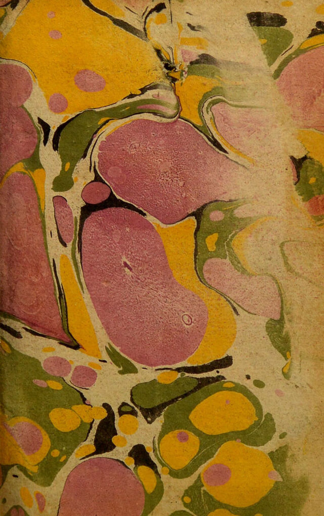 digitised image 3