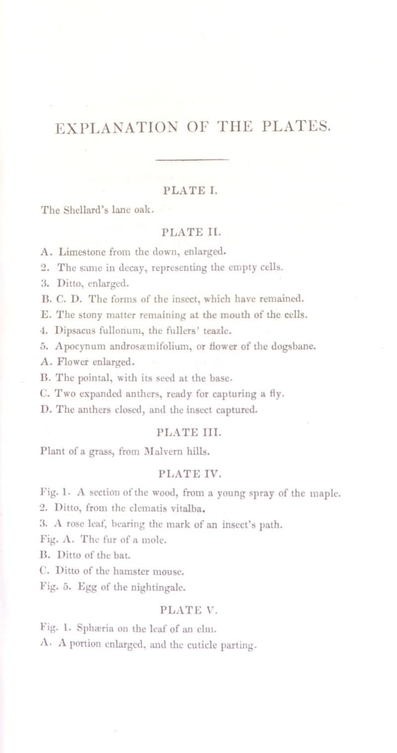 EXPLANATION OF THE PLATES. PLATE I. The Shellaril’s lane oak. PLATE II. A. Limestone from the down, enlarged. 2. The same in decay, representing the empty cells. 3. Ditto, enlarged. B. C. D. The forms of the insect, which have remained. E. The stony matter remaining at the mouth of the cells. 4. Dipsacus fullonum, the fullers’ teazle. 5. Apocynum androsamifolium, or flower of the dogsbane. A. Flower enlarged. B. The pointal, with its seed at the base. C. Two expanded anthers, ready for capturing a fly. D. The anthers closed, and the insect captured. PLATE III. Plant of a grass, from Malvern hills. PLATE IV. I'ig. 1. A section of the wood, from a young spray of the mapl 2. Ditto, from the clematis vitalba. ■'1. A rose leaf, bearing the mark of an insect’s path. Fig. A. The fur of a mole. B. Ditto of the bat. C. Ditto of the hamster mouse. Fig. 5. Egg of the nightingale. PLATE V. Fig. 1. Spharia on the leaf of an elm. A. A portion enlarged, and the cuticle parting.
