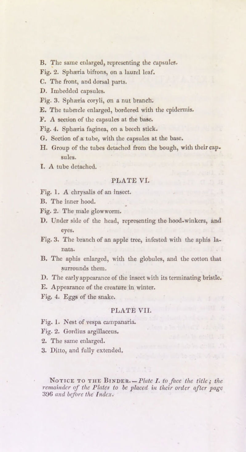 B. The same enlarged, representing the capsule*. Fig. 2. Sphseria bifrons, on a laurel leaf. C. The front, and dorsal parts. D. Imbedded capsules. Fig. 3. Spharia coryli, on a nut branch. E. The tubercle enlarged, bordered with the epidermis. F. A section of the capsules at the base. Fig. 4. Sph»ria faginea, on a beech stick. G. Section of a tube, with the capsules at the base. H. Group of the tubes detached from the bough, with their cap. sules. I. A tube detached. PLATE VI. Fig. 1. A chrysalis of an insect. B. The inner hood. Fig. 2. The male glowworm. D. Under side of the head, representing the hood-winkers, and eyes. Fig. 3. The branch of an apple tree, infested with the aphis la- nata. B. The aphis enlarged, with the globules, and the cotton that surrounds them. D. The early appearance of the insect with its terminating bristle. E. Appearance of the creature in winter. Fig, 4. Eggs of the snake. PLATE VII. Fig. 1. Nest of vespa campanaria. Fig. 2. Gordius argillaceus. 2. The same enlarged. 3. Ditto, and fully extended. Notice to the Binder. — Plate I. to face the title; the remainder of the Plates to he placed in their order after page 306 and before the Index.
