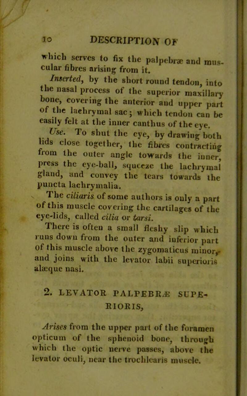 which serves to fix the palpebrae and mus- cular fibres arising from it. Inserted, by the short round tendon, into the nasal process of the superior maxillary bone, covering the anterior and upper part of the lachrymal sac; which tendon can be easily felt at the inner cantlius of the eye. Ose. To shut the eye, by drawing both lids close together, the fibres contracting from the outer angle towards the inner, press the eye-ball, squeeze the lachrymal gland, and convey the tears towards the puncta laclirymalia. The ciliaris of some authors is only a part of this muscle covering the cartilages of the eye-lids, called cilia or tarsi. There is often a small fleshy slip which runs down from the outer and inferior part of this muscle above the zygomalicus minor,- and joins with the levator labii superior^ alseque nasi. 2. LEVATOR PALPEBR.E SL'PE- RIORIS, Arises from the upper part of the foramen opticum of the sphenoid bone, through which the optic nerve passes, above the levator oculi, near the trochlearis muscle.