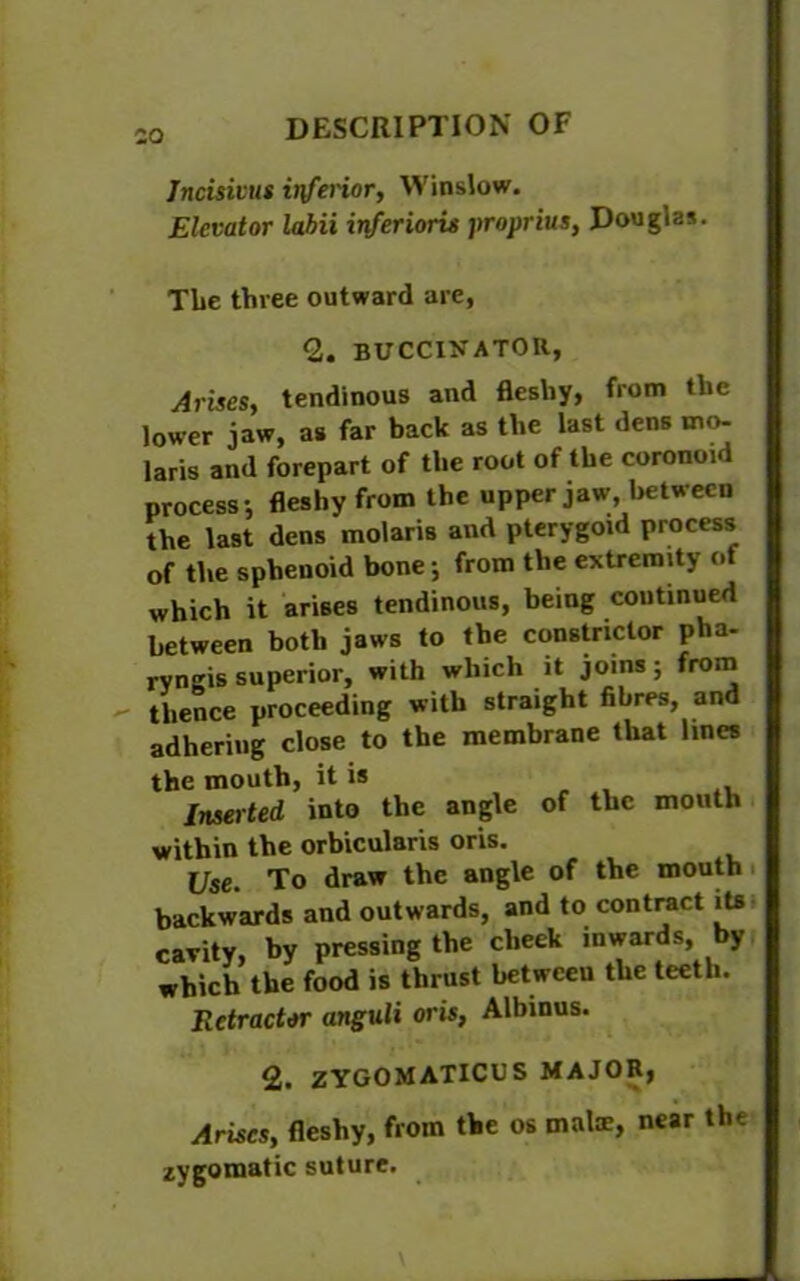 Jncisivus inferior, Winslow. Elevator lahii inferioru proprius, Douglas. The three outward are, 2. BUCCINATOR, Arises, tendinous and fleshy, from the lower jaw, as far back as the last dens mo- laris and forepart of the root of the coronoid process-, fleshy from the upper jaw, between the last dens molaris and pterygoid process of the sphenoid bone; from the extremity of which it arises tendinous, being coutinued between both jaws to the constrictor pha- ryngis superior, with which it joins; from thence proceeding with straight fibres, and adhering close to the membrane that lines the mouth, it is Inserted into the angle of the mouth within the orbicularis oris. Use. To draw the angle of the mouth backwards and outwards, and to contract its cavity, by pressing the cheek inwards by which the food is thrust between the teeth. Retractor anguli oris, Albinus. 2. ZYGOMATICUS MAJOR, Arises, fleshy, from the os mate, near the zygomatic suture.