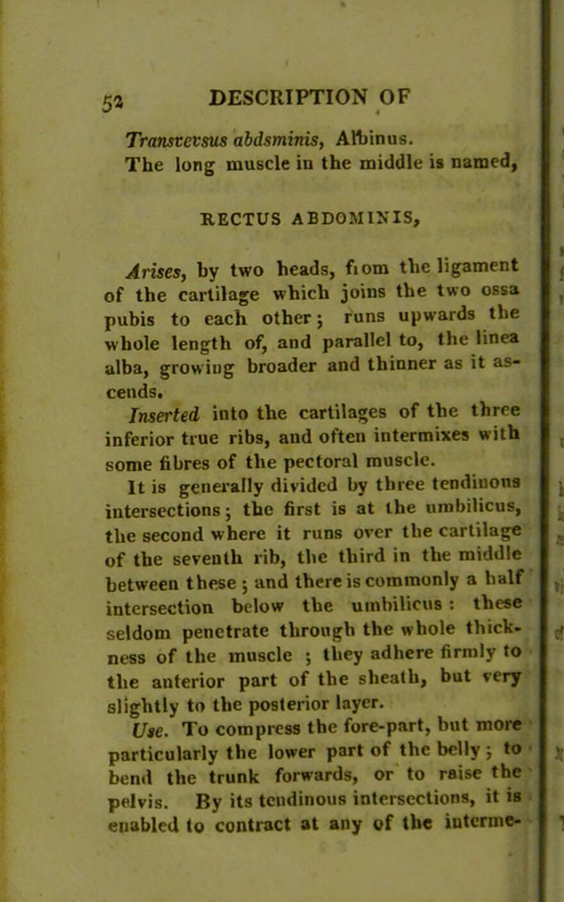 53 Transtevsus abdsminis, Albinus. The long muscle in the middle is named, RECTUS ABDOMINIS, Arises, by two heads, fiom the ligament of the cartilage which joins the two ossa pubis to each other; runs upwards the whole length of, and parallel to, the linea alba, growing broader and thinner as it as- cends. Inserted into the cartilages of the three inferior true ribs, and often intermixes with some fibres of the pectoral muscle. It is generally divided by three tendinous intersections; the first is at the umbilicus, the second where it runs over the cartilage of the seventh rib, the third in the middle between these ; and there is commonly a half intersection below the umbilicus : these seldom penetrate through the whole thick- ness of the muscle ; they adhere firmly to the anterior part of the sheath, but very slightly to the posterior layer. Use. To compress the fore-part, but more particularly the lower part of the belly ; to bend the trunk forwards, or to raise the pelvis. By its tendinous intersections, it is euabled to contract at any of the iuterme-
