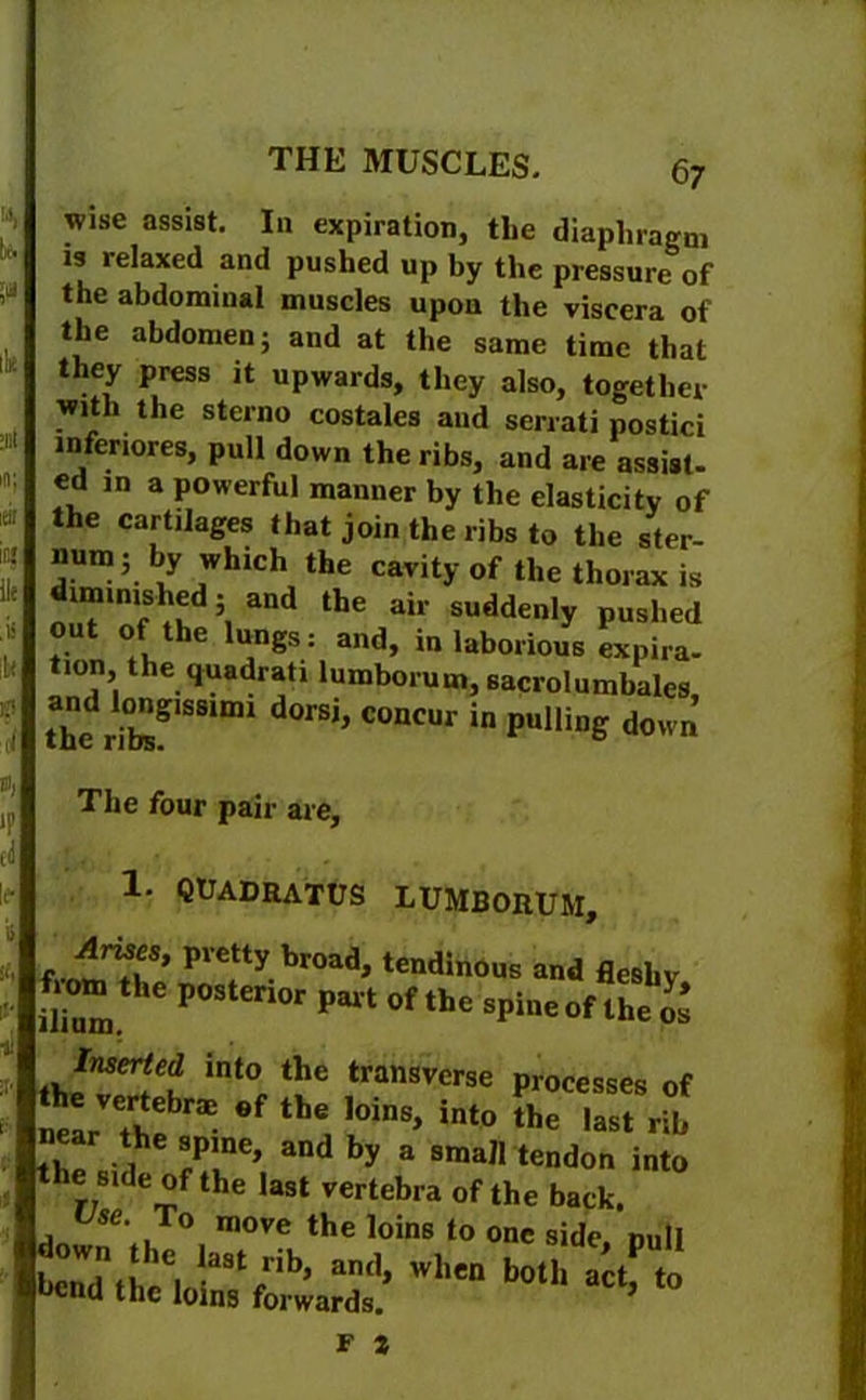 wise assist. In expiration, tlie diaphragm is relaxed and pushed up by the pressure of the abdominal muscles upon the viscera of the abdomen; and at the same time that they press it upwards, they also, together with the sterno costales and serrati postici inferiores, pull down the ribs, and are assist- ed in a powerful manner by the elasticity of the cartilages that join the ribs to the ster- num; by which the cavity of the thorax is diminished; and the air suddenly pushed out of the lungs: and, in laborious expira- tion the quadrati lumborum, sacrolumbales the riteS'SSimi d°rSi’ C°nCUr ‘n pulliD& down The four pair are, 1- QUADRATUS lumborum. Arises, pretty broad, tendinous and fleshy fiom the posterior part of the spine of the os into the transverse processes of near *f ^ l™8’ into last rib near the spine, and by a small tendon into e side of the last vertebra of the back. se. To move the loins to one side, null