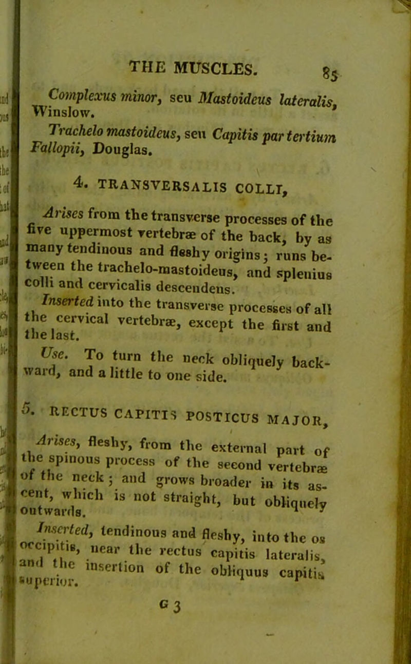Complexes minor, scu Mastoideus lateralis Winslow. ' Trachelo mastoideus, sen Capitis partertmn Fallopii, Douglas. 4. transversalis collt. Arises from the transverse processes of the five uppermost vertebrae of the back, by as many tendinous and fleshy origins; runs be- tween the trachelo-mastoideus, and spleuius colli and cervicalis descendens. Inserted into the transverse processes of all the lastV1Cal Vertebr*’ excePl the filst Use. To turn the neck obliquely back- ward, and a little to one side. 5* RECTUS CAPITIS POSTICUS MAJOR, Arises, fleshy, from the external part of the spinous process of the second vertebrae of the neck; and grows broader in its as- is ,,ot Inserted, tendinous and fleshy, into the os nccipiUs, near the rectus capitis lateralis, superior. lllSerll0n ot the oljlifluus capitis.