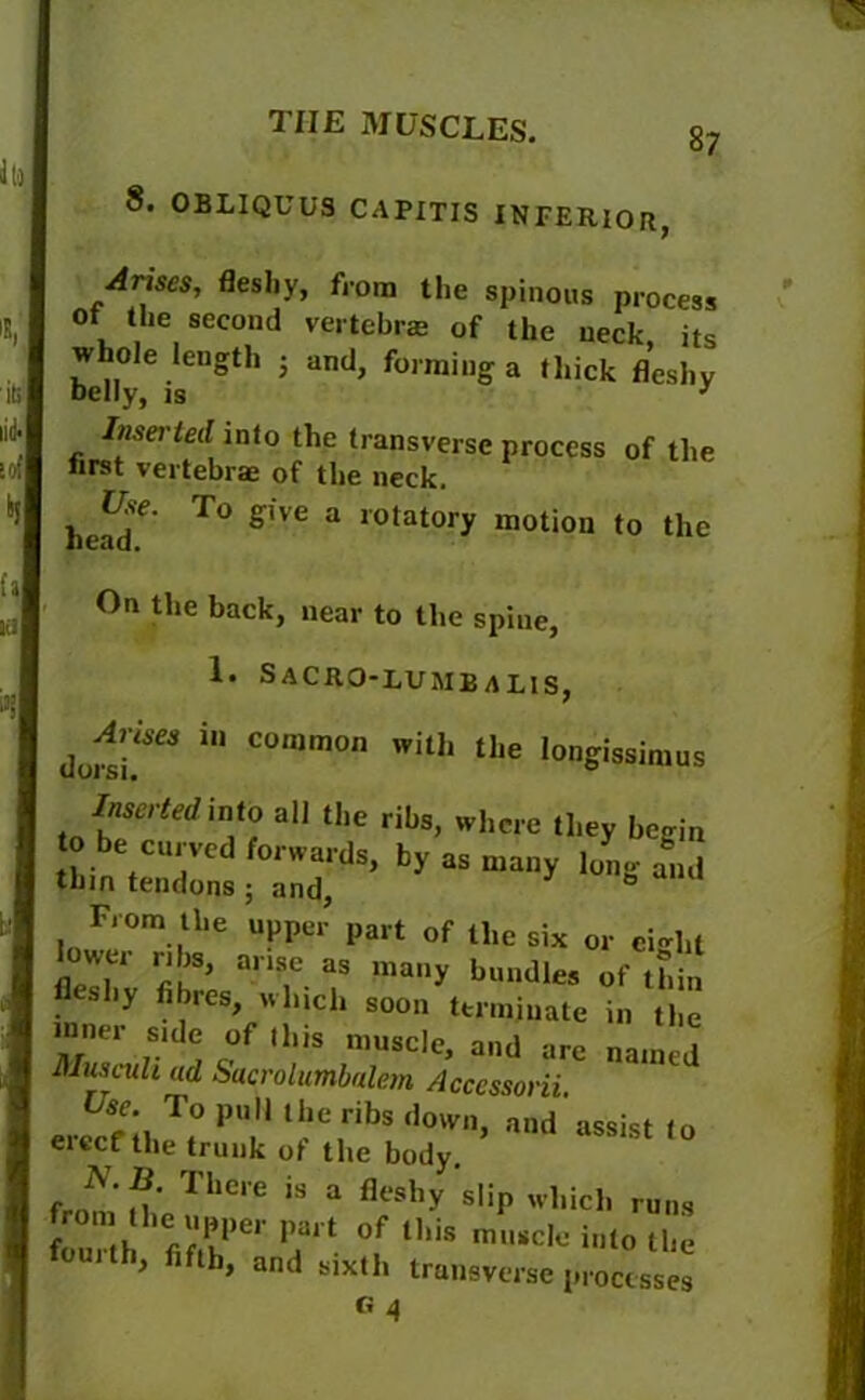 lu 8. OBLIQUUS CAPITIS INFERIOR, Arises, fleshy, from the spinous process of the second vertebrae of the neck, its ^ei^th 5 and> forming a thick fleshy Inserted into the transverse process of the first vertebrae of the neck. head* T° glVe 3 ,0tat0ry motion ‘0 the On the back, near to the spine, 1- SACRO-LUMBalis, in common with the longissimus Inserted into all the ribs, where they begin till e,CUI.Vcd forvvards> fay as many long and tbm tendons ; and, 0 From the upper part of the six or eight lower ribs, arise as many bundles of thin fleshy fibres, which soon terminate in the inner side of this muscle, and are named Muscuh ad Sacrolumbalem Accessorii erSlhJt H 'he,ribS <i0Wn> a,ld assist to elect the trunk ot the body. ThC,e 'S a flcshy sliP runs 1,CfiJ,er Pait of muscle into the fouith, fifth, and sixth transverse processes G 4