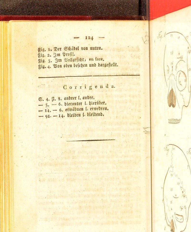gij. I* ©et e^abel bon unten, 5-i0. 2. 3‘« ^'10. 3. 5>n SJoUatflcbt/ en face. 55t0.4. 5Son oben befeben unb bargefteHt. ■' Corrigenda. t ©. 4. $. 8. anbtct I. anbrb. _ 5. — 6. Dierirater I- biftwi’e'’* _ i'4. - 6. einxibnen 1. erroebren. — 91.-14. bUiben 1. bUibenb*