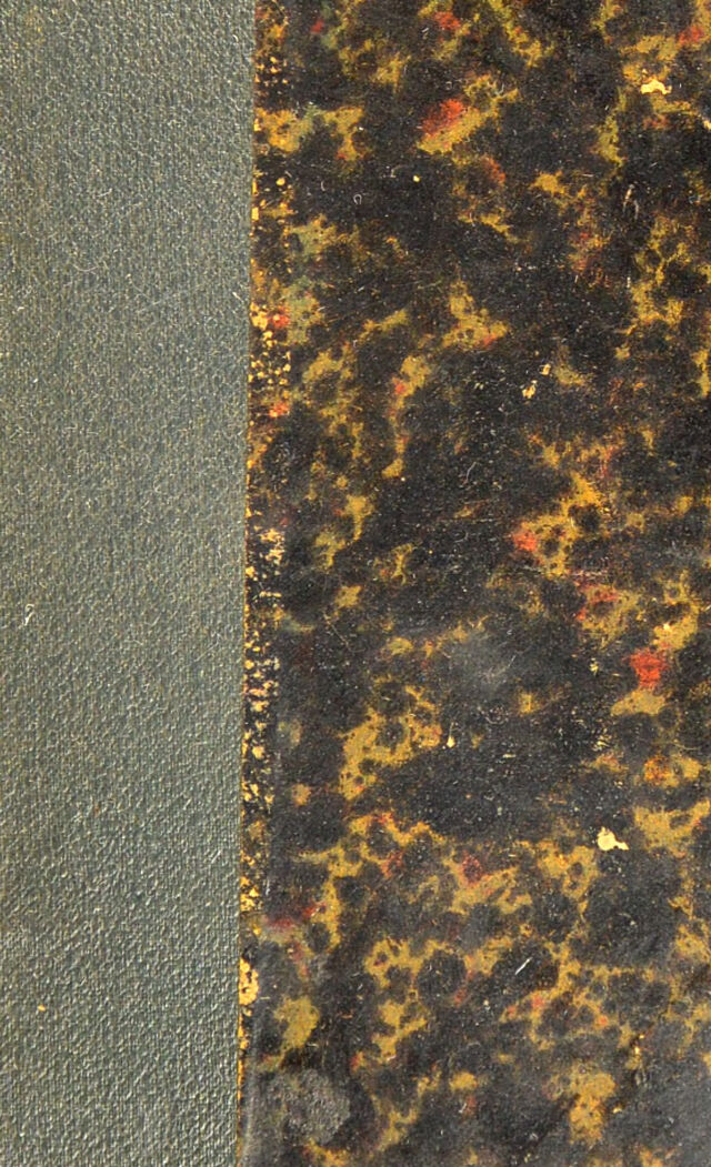 digitised image 1