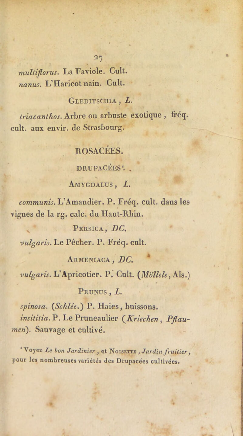 multiflorus. La Faviole. Cuit. nanus. L’Haricot nain. Cuit. Gleditschia , L. triacanthos. Arbre ou arbuste exotique , fréq. cuit, aux envir. de Strasbourg. ROSACÉES. DRUPACÉES'. . Amygdalus, L. communis. L’Amandier. P. Fréq. cuit, dans les yigues de la rg. cale, du Haut-Rhin. v Persica, DC. vulgaris. Le Pêcher. P. Fréq. cuit. Armeniaca , DC. 4 vulgaris. L’Apricotier. P. Cuit. (Moîlele, Als.) Prunus , L. spinosa. (Schlèe.) P. Haies, buissons. insitilia. P. Le Pruneauüer (Kriechen , Pflau- men). Sauvage et cultivé. ' Voyez, Le bon Jardinier , et Noisette , Jardin fruitier, pour les nombreuses variétés des Drupacées cultivées.