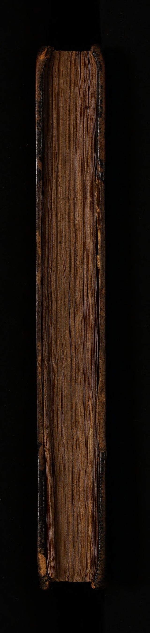 No text description is available for this image