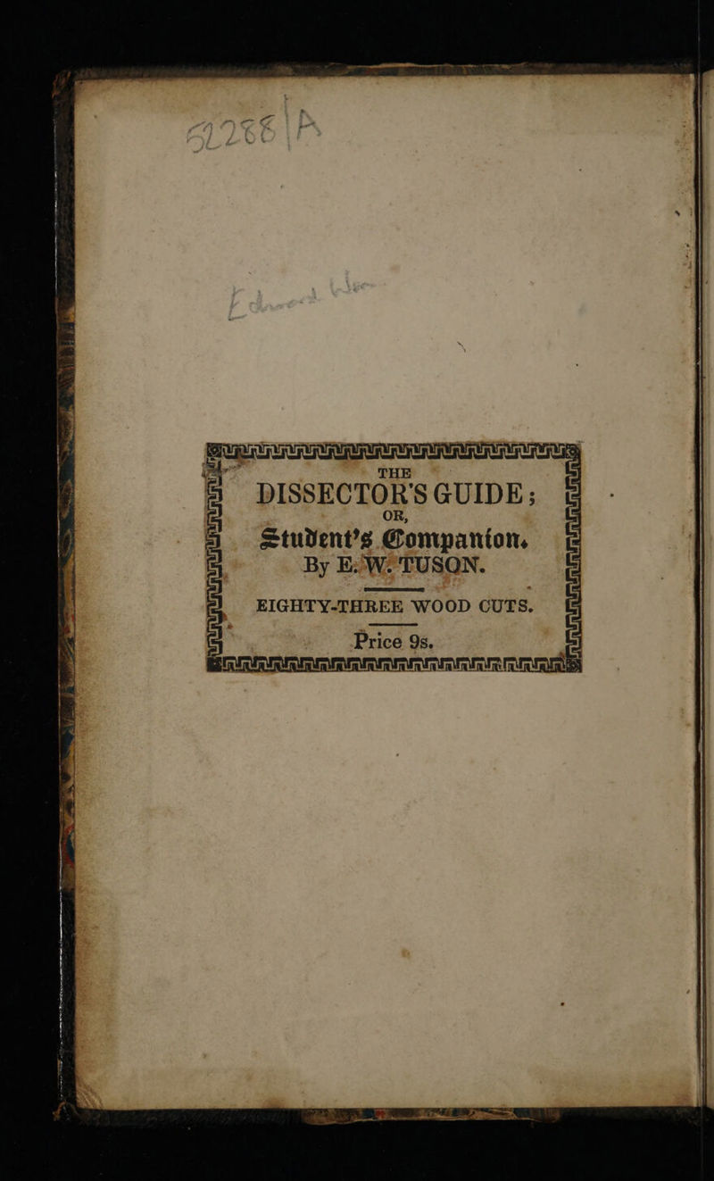 hc : THE DISSECTOR'S GUIDE; Student’s Companion. By EW. 'TUSON. Price 9s. UU UU UU UNUM UUM Un RU UU ever iesS| 