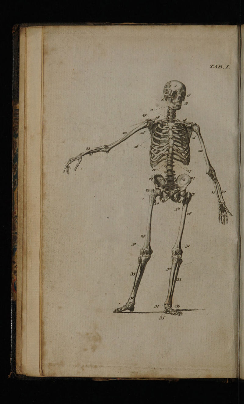 a - ST NRT = eH! y \    