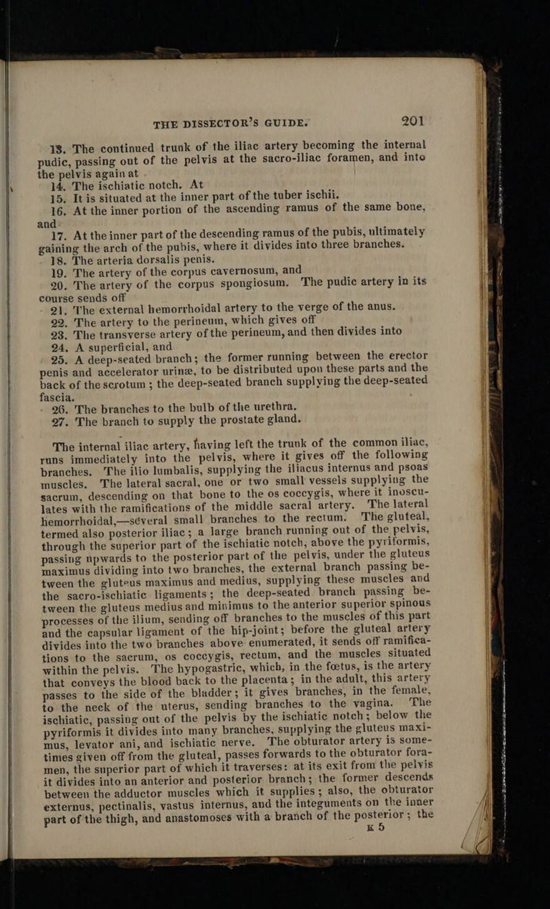    THE DISSECTOR’S GUIDE. 201 18. The continued trunk of the iliac artery becoming the internal pudic, passing out of the pelvis at the sacro-iliac foramen, and into the pelvis again at 14, The ischiatic notch. At 15. It is situated at the inner part of the tuber ischii. 16. At the inner portion of the ascending ramus of the same bone, and 17. At the inner part of the descending ramus of the pubis, ultimately gaining the arch of the pubis, where it divides into three branches. 18. The arteria dorsalis penis. 19. The artery of the corpus cavernosum, and 20. The artery of the corpus spongiosum, The pudic artery in its course sends off 21. 'The external hemorrhoidal artery to the verge of the anus. 22. The artery to the perineum, which gives off 23. The transverse artery of the perineum, and then divides into 24, A superficial, and 25. A deep-seated branch; the former running between the erector penis and accelerator urine, to be distributed upon these parts and the pack of the scrotum ; the deep-seated branch supplying the deep-seated fascia. 26. The branches to the bulb of the urethra. 27. The branch to supply the prostate gland. The internal iliac artery, having left the trunk of the common iliac, runs immediately into the pelvis, where it gives off the following branches. The ilio lumbalis, supplying the iliacus internus and psoas muscles. The lateral sacral, one or two small vessels supplying the sacrum, descending on that bone to the os coccygis, where it inoscu- lates with the ramifications of the middle sacral artery. The lateral hemorrhoidal,—séveral small branches to the rectum. The gluteal, termed also posterior iliac; a large branch running out of the pelvis, through the superior part of the ischiatic notch, above the pyriformis, passing upwards to the posterior part of the pelvis, under the gluteus maximus dividing into two branches, the external branch passing be- tween the gluteus maximus and medius, supplying these muscles and the sacro-ischiatic ligaments; the deep-seated branch passing be- tween the gluteus medius and minimus to the anterior superior spinous processes of the ilium, sending off branches to the muscles of this part and the capsular ligament of the hip-joint; before the gluteal artery divides into the two branches above enumerated, it sends off ramifica- tions to the sacrum, os coccygis, rectum, and the muscles situated within the pelvis. The hypogastric, which, in the foetus, is the artery that conveys the blood back to the placenta ; in the adult, this artery passes to the side of the bladder ; it gives branches, in the female, to the neck of the uterus, sending branches to the vagina. The ischiatic, passing out of the pelvis by the ischiatic notch; below the pyriformis it divides into many branches, supplying the gluteus maxi- mus, levator ani, and ischiatic nerve. ‘The obturator artery is some- times given off from the gluteal, passes forwards to the obturator fora- men, the superior part of which it traverses: at its exit from the pelvis it divides into an anterior and posterior branch; the former descends between the adductor muscles which it supplies; also, the obturator externus, pectinalis, vastus internus, and the integuments on the inner part of the thigh, and anastomoses with a branch of the posterior; the KO                                                        oe noias laongs MSGR ROLES ae cage ies