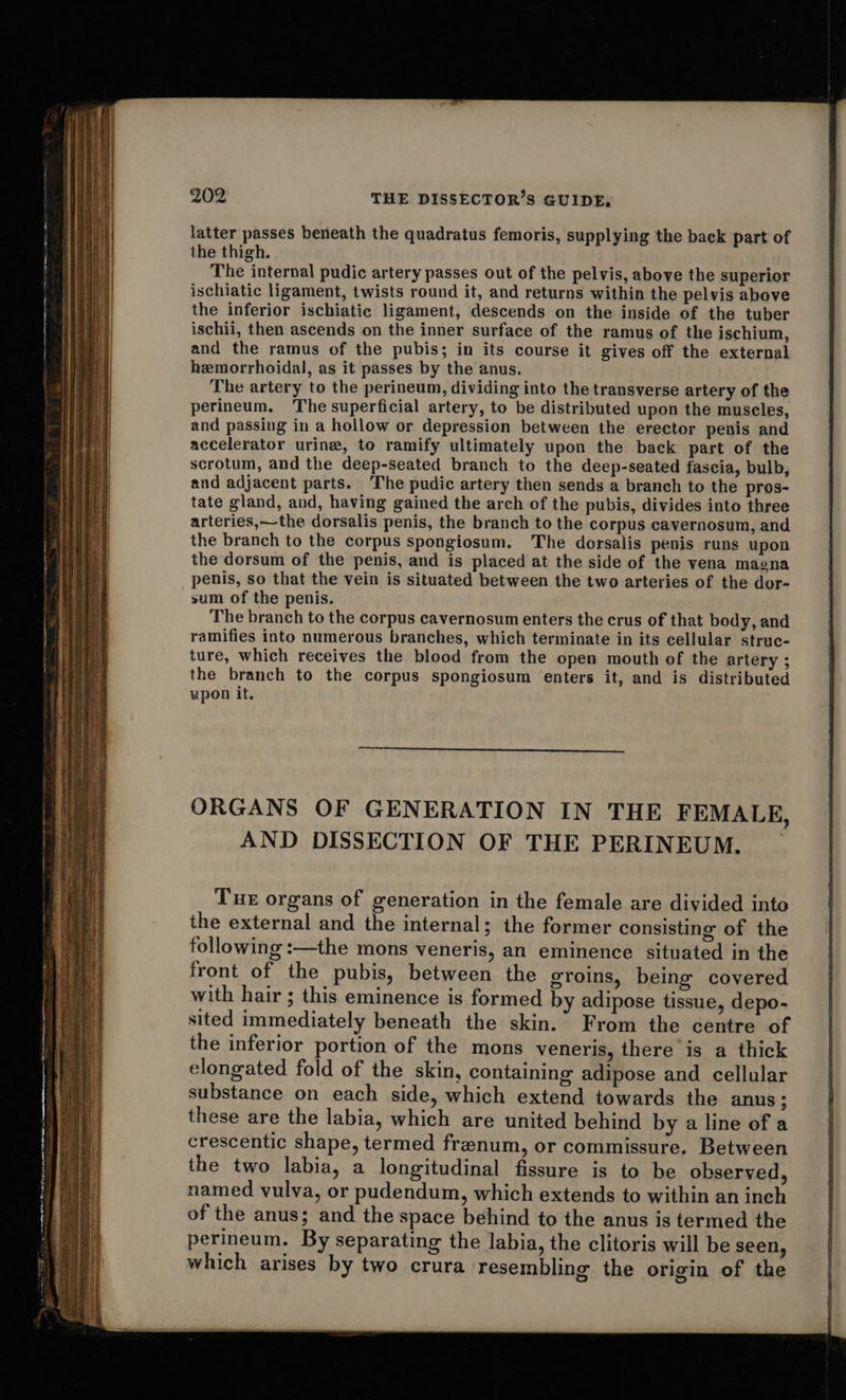 latter passes beneath the quadratus femoris, supplying the back part of the thigh. The internal pudic artery passes out of the pelvis, above the superior ischiatic ligament, twists round it, and returns within the pelvis above the inferior ischiatic ligament, descends on the inside of the tuber ischii, then ascends on the inner surface of the ramus of the ischium, and the ramus of the pubis; in its course it gives off the external hemorrhoidal, as it passes by the anus. The artery to the perineum, dividing into the transverse artery of the perineum. The superficial artery, to be distributed upon the muscles, and passiug in a hollow or depression between the erector penis and accelerator urine, to ramify ultimately upon the back part of the scrotum, and the deep-seated branch to the deep-seated fascia, bulb, and adjacent parts. The pudic artery then sends a branch to the pros- tate gland, and, having gained the arch of the pubis, divides into three arteries,—the dorsalis penis, the branch to the corpus cavernosum, and the branch to the corpus spongiosum. The dorsalis penis runs upon the dorsum of the penis, and is placed at the side of the vena magna penis, so that the vein is situated between the two arteries of the dor- sum of the penis. The branch to the corpus cavernosum enters the crus of that body, and ramifies into numerous branches, which terminate in its cellular struc- ture, which receives the blood from the open mouth of the artery ; the branch to the corpus spongiosum enters it, and is distributed upon it. Tue organs of generation in the female are divided into the external and the internal; the former consisting of the following :—the mons veneris, an eminence situated in the front of the pubis, between the groins, being covered with hair ; this eminence is formed by adipose tissue, depo- sited immediately beneath the skin. From the centre of the inferior portion of the mons veneris, there is a thick elongated fold of the skin, containing adipose and cellular substance on each side, which extend towards the anus; these are the labia, which are united behind by a line of a crescentic shape, termed frenum, or commissure. Between the two labia, a longitudinal fissure is to be observed, named vulva, or pudendum, which extends to within an inch of the anus; and the space behind to the anus is termed the perineum. By separating the labia, the clitoris will be seen, which arises by two crura resembling the origin of the 