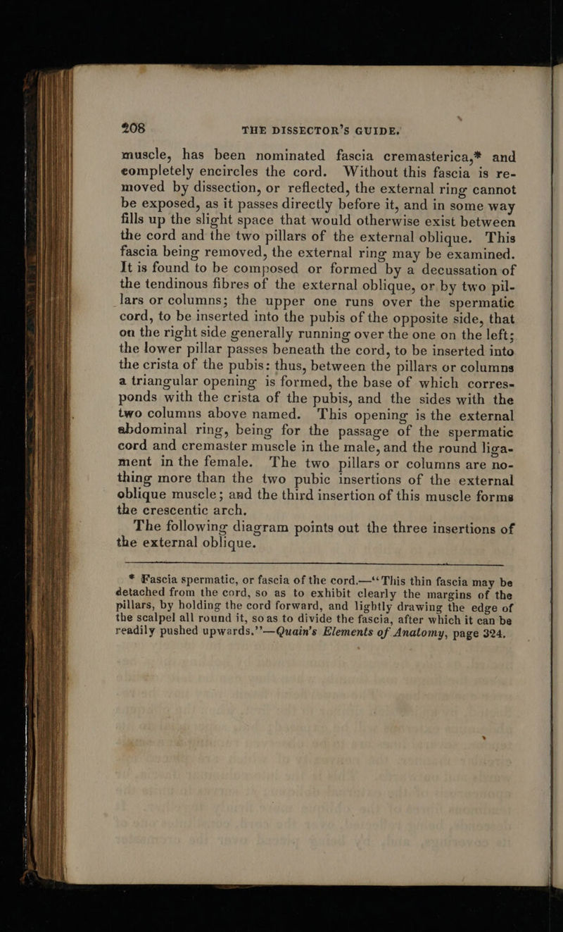  SS aa eS =F 208 THE DISSECTOR’S GUIDE. muscle, has been nominated fascia cremasterica,* and eompletely encircles the cord. Without this fascia is re- moved by dissection, or reflected, the external ring cannot be exposed, as it passes directly before it, and in some way fills up the slight space that would otherwise exist between the cord and the two pillars of the external oblique. This fascia being removed, the external ring may be examined. It is found to be composed or formed by a decussation of the tendinous fibres of the external oblique, or by two pil- lars or columns; the upper one runs over the spermatic cord, to be inserted into the pubis of the opposite side, that on the right side generally running over the one on the left; the lower pillar passes beneath the cord, to be inserted into the crista of the pubis: thus, between the pillars or columns a triangular opening is formed, the base of which corres- ponds with the crista of the pubis, and the sides with the two columns above named. ‘This opening is the external abdominal ring, being for the passage of the spermatic cord and cremaster muscle in the male, and the round liga- ment inthe female. The two pillars or columns are no- thing more than the two pubic insertions of the external oblique muscle; and the third insertion of this muscle forms the crescentic arch. The following diagram points out the three insertions of the external oblique. * Fascia spermatic, or fascia of the cord.—‘ This thin fascia may be detached from the cord, so as to exhibit clearly the margins of the pillars, by holding the cord forward, and lightly drawing the edge of the scalpel all round it, soas to divide the fascia, after which it can be readily pushed upwards.’’—Quain’s Elements of Anatomy, page 324. 