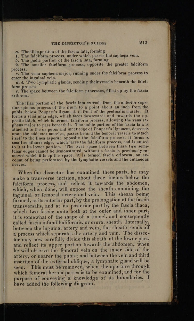 a, The iliac portion of the fascia lata, forming 1. The falciform process, under which passes the saphena vein. b. The pudic portion of the fascia lata, forming 2. The smaller falciform process, opposite the greater falciform process, c. The vena saphena major, running under the falciform process to enter the inguinal vein. d.d. Two lymphatic glands, sending their vessels beneath the falci- form process. e. The space between the falciform processes, filled up by the fascia cribrosa. The iliac portion of the fascia lata extends from the anterior supe- rior spinous process of the ilium to a point about an inch from the pubis, below Poupart’s ligament, in front of the pectinalis muscle. It forms a semilunar edge, which faces downwards and towards the op- posite thigh, which is termed falciform process, allowing the vena sa- phena major to pass beneath it. The pubic portion of the fascia lata is attached to the os pubis and inner edge of Poupart’s ligament, descends upon the adductor muscles, passes behind the femoral vessels to attach itself to the linea aspera; opposite the falciform process, it forms a small semilunar edge, which faces the falciform process, avd is united to it at its lower portion. The oval space between these two semi- lunar edges cannot be demonstrated, without a fascia is previously re- moved which fills up the space; it is termed fascia cribrosa, on ac- count of being perforated by the lymphatic vessels and the cutaneous nerves. When the dissector has examined these parts, he may make a transverse incision, about three inches below the falciform process, and reflect it towards the abdomen, which, when done, will expose the sheath containing the inguinal or femoral artery and vein. This sheath being formed, at its anterior part, by the prolongation of the fascia transversalis, and at its posterior part by the fascia iliaca, which two fascie unite both at the outer and inner part, it is somewhat of the shape of a funnel, and consequently called fascia infundibuliformis, or crural sheath. Internally, between the inguinal artery and vein, the sheath sends off a process which separates the artery and vein. The dissec- tor may now carefully divide this sheath at the lower part, and reflect its upper portion towards the abdomen, when he will observe the femoral vein on the inner side of the artery, or nearer the pubis; and between the vein and third insertion of the external eblique, a lymphatic gland will be seen. This must be removed, when the aperture through which femoral hernia passes is to be examined, and for the purpose of conveying a knowledge of its boundaries, I have added the following diagram. we ne cane SGN Se cage eT re ana 