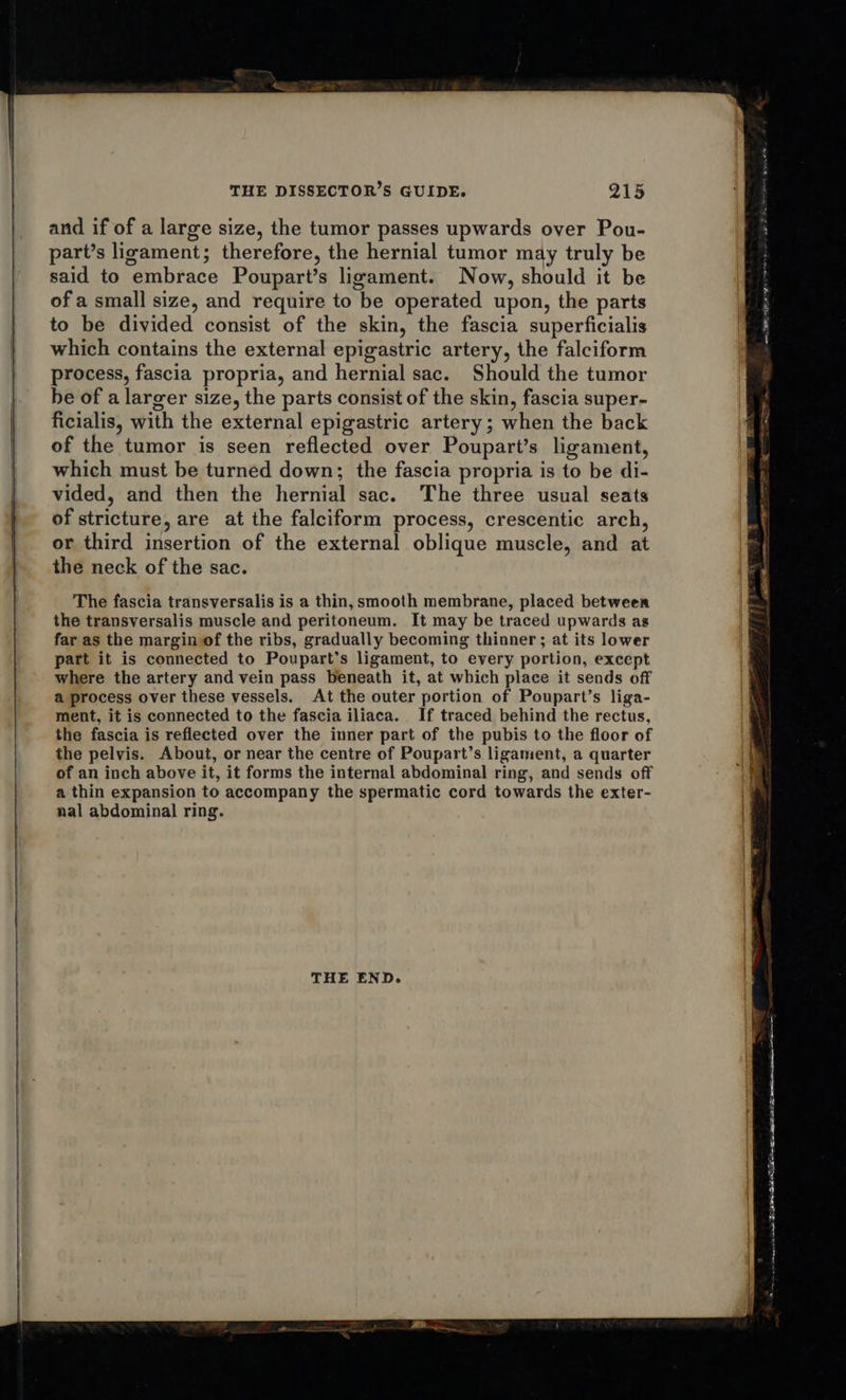    THE DISSECTOR’S GUIDE. 215 and if of a large size, the tumor passes upwards over Pou- part’s ligament; therefore, the hernial tumor may truly be said to embrace Poupart’s ligament. Now, should it be of a small size, and require to be operated upon, the parts to be divided consist of the skin, the fascia superficialis which contains the external epigastric artery, the falciform process, fascia propria, and hernial sac. Should the tumor be of a larger size, the parts consist of the skin, fascia super- ficialis, with the external epigastric artery; when the back of the tumor is seen reflected over Poupart’s ligament, which must be turned down; the fascia propria is to be di- vided, and then the hernial sac. The three usual seats of stricture, are at the falciform process, crescentic arch, or third insertion of the external oblique muscle, and at the neck of the sac. The fascia transversalis is a thin, smooth membrane, placed between the transversalis muscle and peritoneum. It may be traced upwards as far as the margin of the ribs, gradually becoming thinner; at its lower part it is connected to Poupart’s ligament, to every portion, except where the artery and vein pass beneath it, at which place it sends off a process over these vessels. At the outer portion of Poupart’s liga- ment, it is connected to the fascia iliaca. If traced behind the rectus, the fascia is reflected over the inner part of the pubis to the floor of the pelvis. About, or near the centre of Poupart’s ligament, a quarter of an inch above it, it forms the internal abdominal ring, and sends off a thin expansion to accompany the spermatic cord towards the exter- nal abdominal ring. THE END. —                      cio Pn tie sts tims BEG N eee OEE re cepa