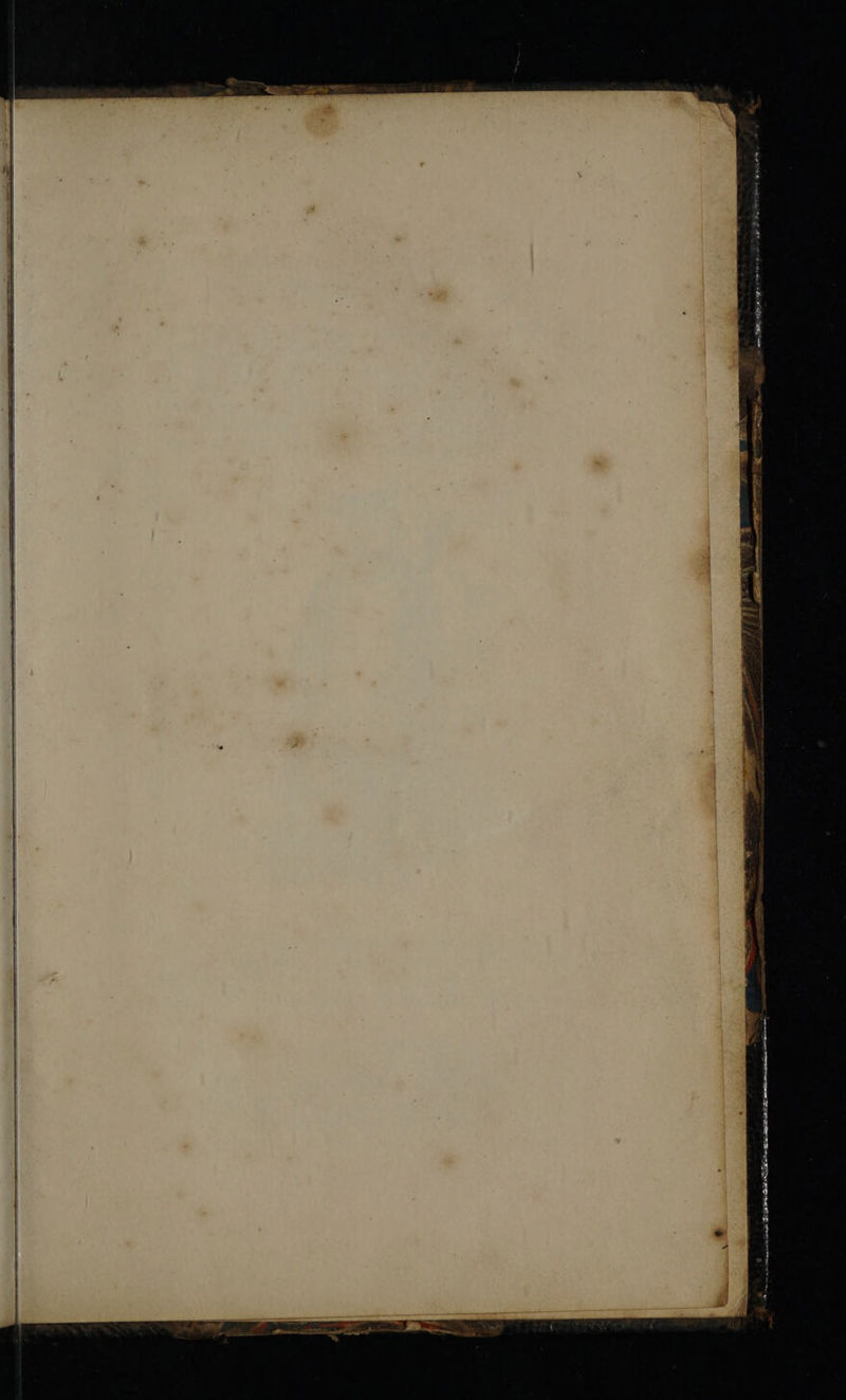 CPs eee er wee  apg rn  