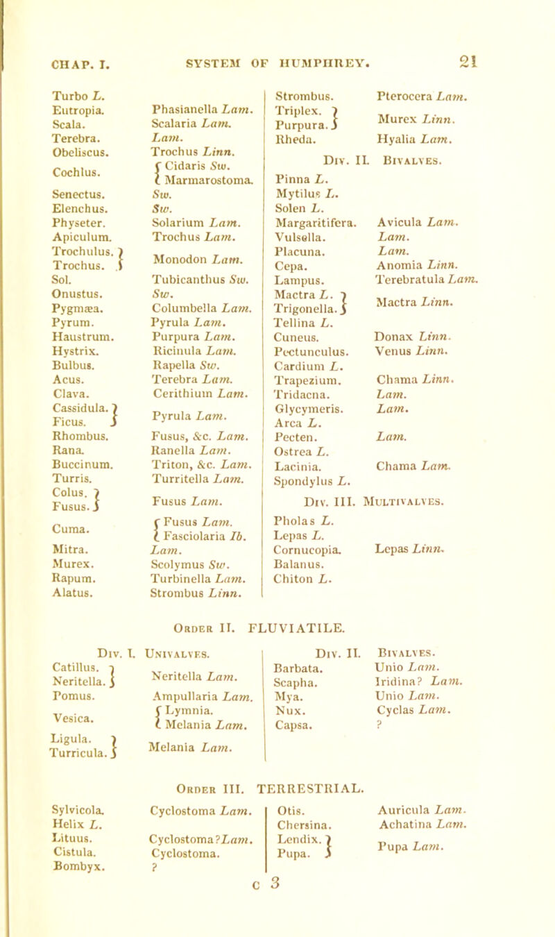 Turbo L. Eutropia. Phasianella Lam. Scala. Scalaria Lam. Terebra. Lam. Obeliscus. Trochus Linn. Cochlus. C Cidaris Stu. C Marmarostoma. Senectus. Stu. Elencbus. Sw. Physeter. Apiculum. Trochulus. ) Trochus. V Solarium Lam. Trochus Lam. Monodon Lam. Sol. Tubicanthus Sw. Onustus. Sw. Pygmrea. Columbella Lam. Pyrum. Pyrula Lain. Haustrum. Purpura Lam. Hystrix. Ricinula Lam. Bulbus. Rapella Sw. Acus. Terebra Lam. Clava. Cerithium Lam. Cassidula. I Ficus. J Pyrula Lam. Rhombus. Fusus, &c. Lam. Rana. Ranella Lam. Buccinum. Triton, &c. Lam. Turris. Colus. 7 Turritella Lam. Fusus. j Fusus Lam. Cuma. r Fusus Lam. t Fasciolaria lb. Mitra. Lam. Murex. Scolymus Sw. Rapum. Turbinella Lam. Alatus. Strombus Linn. Order II. F Div. I . Univalves. Catillus. a Neritella. j Neritella Lam. Pomus. Ampullaria Lam. Vesica. C Lymnia. C Melania Lam. Ligula. 7 Turricula. J Melania Lam. 21 Strombus. Pterocera Lam. Triplex. 1 Purpura. $ Murex Linn. Rheda. Hyalia Lam. Div. IL Bivalves. Pinna L. Mytilus L. Solen L. Margaritifera. Avicula Lam. Vulsella. Lam. Placuna. Lam. Cepa. Lampus. Mactra L. 1 Trigonella. 3 Tellina L. Anomia Linn. Terebratula Lam. Mactra Linn. Cuneus. Donax Linn. Pectunculus. Cardium L. Venus Linn. Trapezium. Chama Linn. Tridacna. Lam. Glycymeris. Area L. Lam. Pecten. Lam. Ostrea L. Lacinia. Spondylus L. Chama Lam. Div. III. Multivalves. Pholas L. Lepas L. Cornucopia. Balanus. Chiton L. Lepas Linn. JVIATILE. Div. II. Bivalves. Barbata. Unio Lam. Scapha. Iridina? Lam. Mya. Unio Lam. Nux. Cyclas Lam. Capsa. p Sylvicola. Helix L. Lituus. Cistula. Bombyx. Order III. Cyclostoma Lam. Cyclostoma ?Lam. Cyclostoma. ? TERRESTRIAL. Otis. Chersina. Lendix. ) Pupa, ji 2 3 Auricula Lam. Achatina Lam. Pupa Lam.