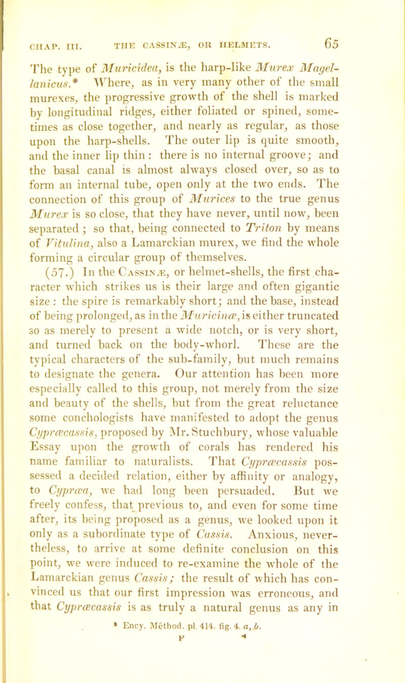 The type of Muricidea, is the harp-like Mur ex Magel- lanicus* Where, as in very many other of the small murexes, the progressive growth of the shell is marked by longitudinal ridges, either foliated or spined, some- times as close together, and nearly as regular, as those upon the harp-shells. The outer lip is quite smooth, and the inner lip thin : there is no internal groove; and the basal canal is almost always closed over, so as to form an internal tube, open only at the two ends. The connection of this group of Murices to the true genus Murex is so close, that they have never, until now, been separated • so that, being connected to Triton by means of Vitulina, also a Lamarckian murex, we find the whole forming a circular group of themselves. (57-) Li the Cassini, or helmet-shells, the first cha- racter which strikes us is their large and often gigantic size : the spire is remarkably short; and the base, instead of being prolonged, as in the M'uricinee, is either truncated so as merely to present a wide notch, or is very short, and turned back on the body-whorl. These are the typical characters of the sub-family, but much remains to designate the genera. Our attention has been more especially called to this group, not merely from the size and beauty of the shells, but from the great reluctance some conchologists have manifested to adopt the genus Cypreecassis, proposed by Mr. Stuchbury, whose valuable Essay upon the growth of corals has rendered his name familiar to naturalists. That Cypreecassis pos- sessed a decided relation, either by affinity or analogy, to Cypreea, we had long been persuaded. But we freely confess, that previous to, and even for some time after, its being proposed as a genus, we looked upon it only as a subordinate type of Cassis. Anxious, never- theless, to arrive at some definite conclusion on this point, we were induced to re-examine the whole of the Lamarckian genus Cassis; the result of which has con- vinced us that our first impression was erroneous, and that Cypreecassis is as truly a natural genus as any in * Ency. Method, pi. 414. fig. 4. a, 4. V •*