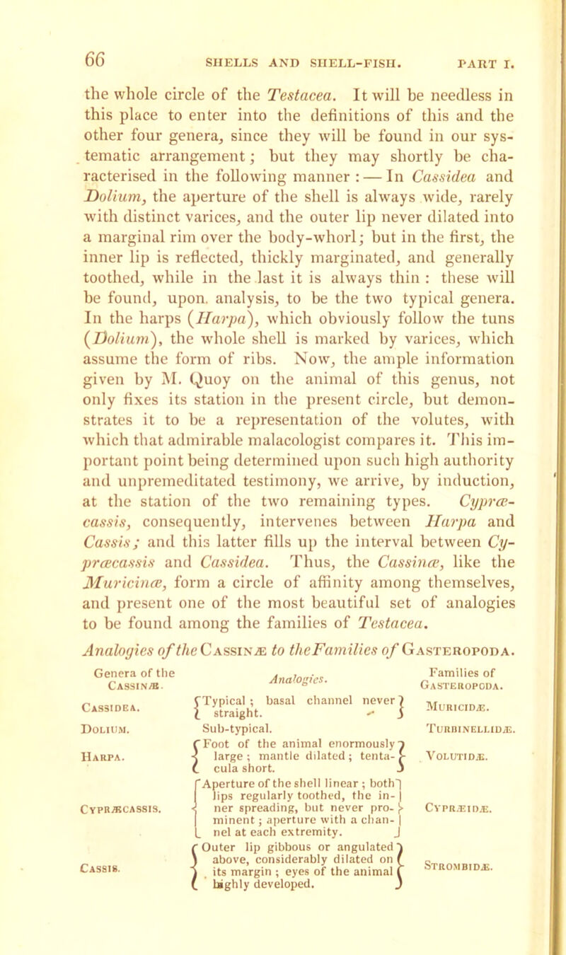 the whole circle of the Testacea. It will he needless in this place to enter into the definitions of this and the other four genera, since they will be found in our sys- tematic arrangement; but they may shortly he cha- racterised in the following manner : — In Cassidea and Dolium, the aperture of the shell is always wide, rarely with distinct varices, and the outer lip never dilated into a marginal rim over the body-whorl; but in the first, the inner lip is reflected, thickly marginated, and generally toothed, while in the last it is always thin : these will he found, upon, analysis, to be the two typical genera. In the harps (Ilarpa), which obviously follow the tuns (Dolium), the whole shell is marked by varices, wdiich assume the form of ribs. Now, the ample information given by M. Quoy on the animal of this genus, not only fixes its station in the present circle, hut demon- strates it to be a representation of the volutes, with which that admirable malacologist compares it. This im- portant point being determined upon such high authority and unpremeditated testimony, we arrive, by induction, at the station of the two remaining types. Cyprce- cassis, consequently, intervenes between Hurpa and Cassis; and this latter fills up the interval between Cy- prcecassis and Cassidea. Thus, the Cassinee, like the Muricince, form a circle of affinity among themselves, and present one of the most beautiful set of analogies to be found among the families of Testacea. Analogies of the Cassinee to theFamilies of Gasteropoda. Genera of the CASSINiB Cassidea. Dolium. Harpa. Cypr/bcassis. Cassis. Analogies. Typical ; basal channel never 1 [ straight. ^ 3 Sub-typical. [Toot of the animal enormously o large ; mantle dilated ; tenta- > _ cula short. J f Aperture of the shell linear ; both! ' lips regularly toothed, the in-j [ ner spreading, but never pro- }> minent; aperture with a chan- | L nel at each extremity. J 'Outer lip gibbous or angulated} I above, considerably dilated on ( I its margin ; eyes of the animal f highly developed. J Families of Gasteropoda. MURICIDiE. TURRINELLIDjE. VOLUTIDiE. CYPRrEIDiE. STROMBIDiE.