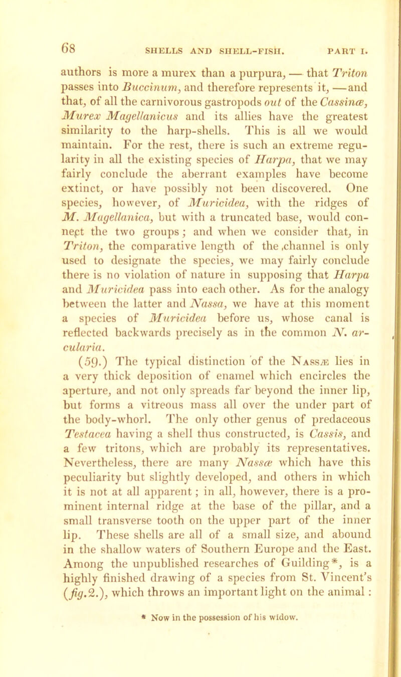 authors is more a murex than a purpura, — that Triton passes into Buccinum, and therefore represents it, —and that, of all the carnivorous gastropods out of the Cassince, Murex Magellanicus and its allies have the greatest similarity to the harp-shells. This is all we would maintain. For the rest, there is such an extreme regu- larity in all the existing species of Harpa, that we may fairly conclude the aberrant examples have become extinct, or have possibly not been discovered. One species, however, of Muricidea, with the ridges of M. Magellanica, but with a truncated base, would con- nect the two groups; and when we consider that, in Triton, the comparative length of the .channel is only used to designate the species, we may fairly conclude there is no violation of nature in supposing that Harpa and Muricidea pass into each other. As for the analogy between the latter and Nassa, we have at this moment a species of Muricidea before us, whose canal is reflected backwards precisely as in the common N. ar- cularia. (59.) The typical distinction of the Nass^e lies in a very thick deposition of enamel which encircles the aperture, and not only spreads far' beyond the inner lip, but forms a vitreous mass all over the under part of the body-whorl. The only other genus of predaceous Testaceu having a shell thus constructed, is Cassis, and a few tritons, which are probably its representatives. Nevertheless, there are many Nassce which have this peculiarity but slightly developed, and others in which it is not at all apparent; in all, however, there is a pro- minent internal ridge at the base of the pillar, and a small transverse tooth on the upper part of the inner lip. These shells are all of a small size, and abound in the shallow waters of Southern Europe and the East. Among the unpublished researches of Guilding*, is a highly finished drawing of a species from St. Vincent’s (fig. 2.), which throws an important light on the animal: * Now in the possession of his widow.