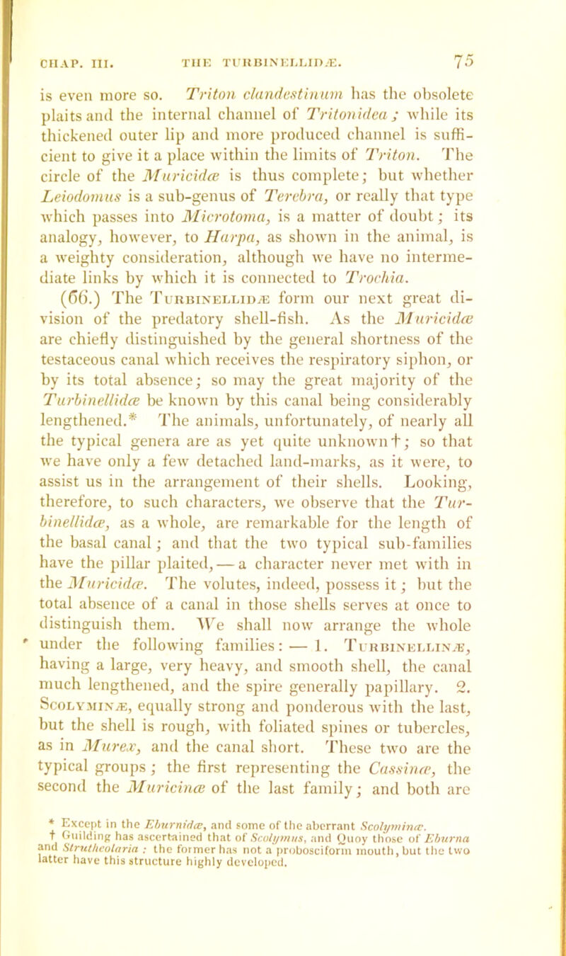 is even more so. Triton clandestinum has the obsolete plaits and the internal channel of Tritonidea j while its thickened outer lip and more produced channel is suffi- cient to give it a place within the limits of Triton. The circle of the Muricidce is thus complete; but whether Leiodomus is a sub-genus of Terebra, or really that type which passes into Microtoma, is a matter of doubt; its analogy, however, to Harpa, as shown in the animal, is a weighty consideration, although we have no interme- diate links by which it is connected to Trochia. (66.) The Turbinellidje form our next great di- vision of the predatory shell-fish. As the Muricidce are chiefly distinguished by the general shortness of the testaceous canal which receives the respiratory siphon, or by its total absence; so may the great majority of the Turbinellidce be known by this canal being considerably lengthened.* The animals, unfortunately, of nearly all the typical genera are as yet quite unknown t; so that we have only a few detached land-marks, as it were, to assist us in the arrangement of their shells. Looking, therefore, to such characters, we observe that the Tur- binellidce, as a whole, are remarkable for the length of the basal canal; and that the two typical sub-families have the pillar plaited, — a character never met with in the Muricidce. The volutes, indeed, possess it; but the total absence of a canal in those shells serves at once to distinguish them. We shall now arrange the whole ' under the following families: — 1. Turbineli.inaj, having a large, very heavy, and smooth shell, the canal much lengthened, and the spire generally papillary. 2. Scolyminje, equally strong and ponderous with the last, but the shell is rough, with foliated spines or tubercles, as in Murex, and the canal short. These two are the typical groups; the first representing the Cassince, the second the Muricince of the last family; and both are * Except in the Eburnidce, and some of the aberrant Scolymince. t Guilding has ascertained that of Scolymus, and Quoy those of Eburna and Strutheolarin ; the former has not aprobosciform mouth, but the two latter have this structure highly developed.
