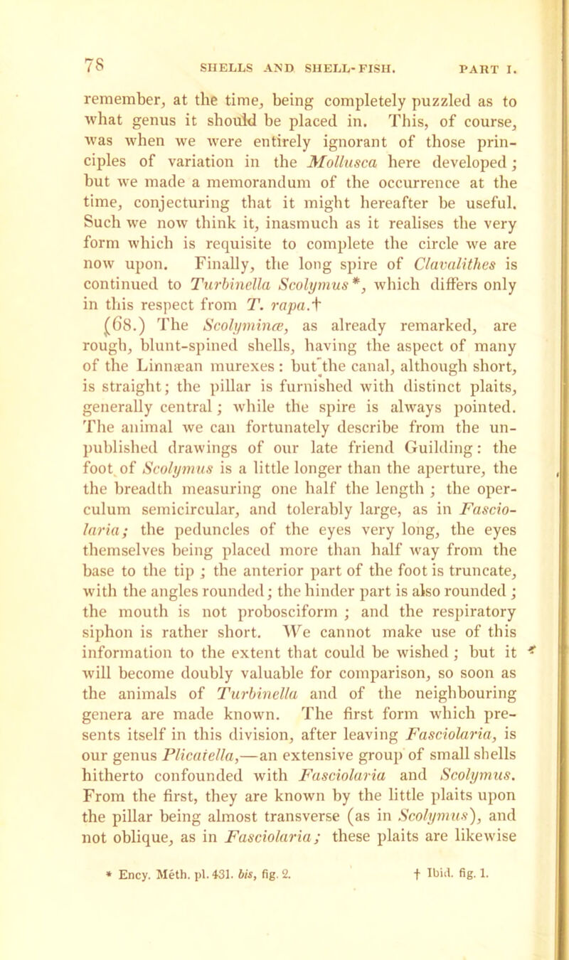 remember, at the time, being completely puzzled as to what genus it should be placed in. This, of course, was when we were entirely ignorant of those prin- ciples of variation in the Mollusca here developed; but we made a memorandum of the occurrence at the time, conjecturing that it might hereafter be useful. Such we now think it, inasmuch as it realises the very form which is requisite to complete the circle we are now upon. Finally, the long spire of Clavalithes is continued to Turbinella Scolyrnus *, which differs only in this respect from T. rapa. t (68.) The Scoly mince, as already remarked, are rough, blunt-spined shells, having the aspect of many of the Linnaean murexes : hub the canal, although short, is straight; the pillar is furnished with distinct plaits, generally central; while the spire is always pointed. The animal we can fortunately describe from the un- published drawings of our late friend Guilding: the foot, of Scolyrnus is a little longer than the aperture, the the breadth measuring one half the length ; the oper- culum semicircular, and tolerably large, as in Fascio- laria; the peduncles of the eyes very long, the eyes themselves being placed more than half way from the base to the tip ; the anterior part of the foot is truncate, with the angles rounded; the hinder part is also rounded ; the mouth is not probosciform ; and the resjiiratory siphon is rather short. We cannot make use of this information to the extent that could be wished; but it * will become doubly valuable for comparison, so soon as the animals of Turbinella and of the neighbouring genera are made known. The first form which pre- sents itself in this division, after leaving Fasciolaria, is our genus Plicaiella,—-an extensive group of small shells hitherto confounded with Fasciolaria and Scolyrnus. From the first, they are known by the little plaits upon the pillar being almost transverse (as in Scolyrnus), and not oblique, as in Fasciolaria; these plaits are likewise