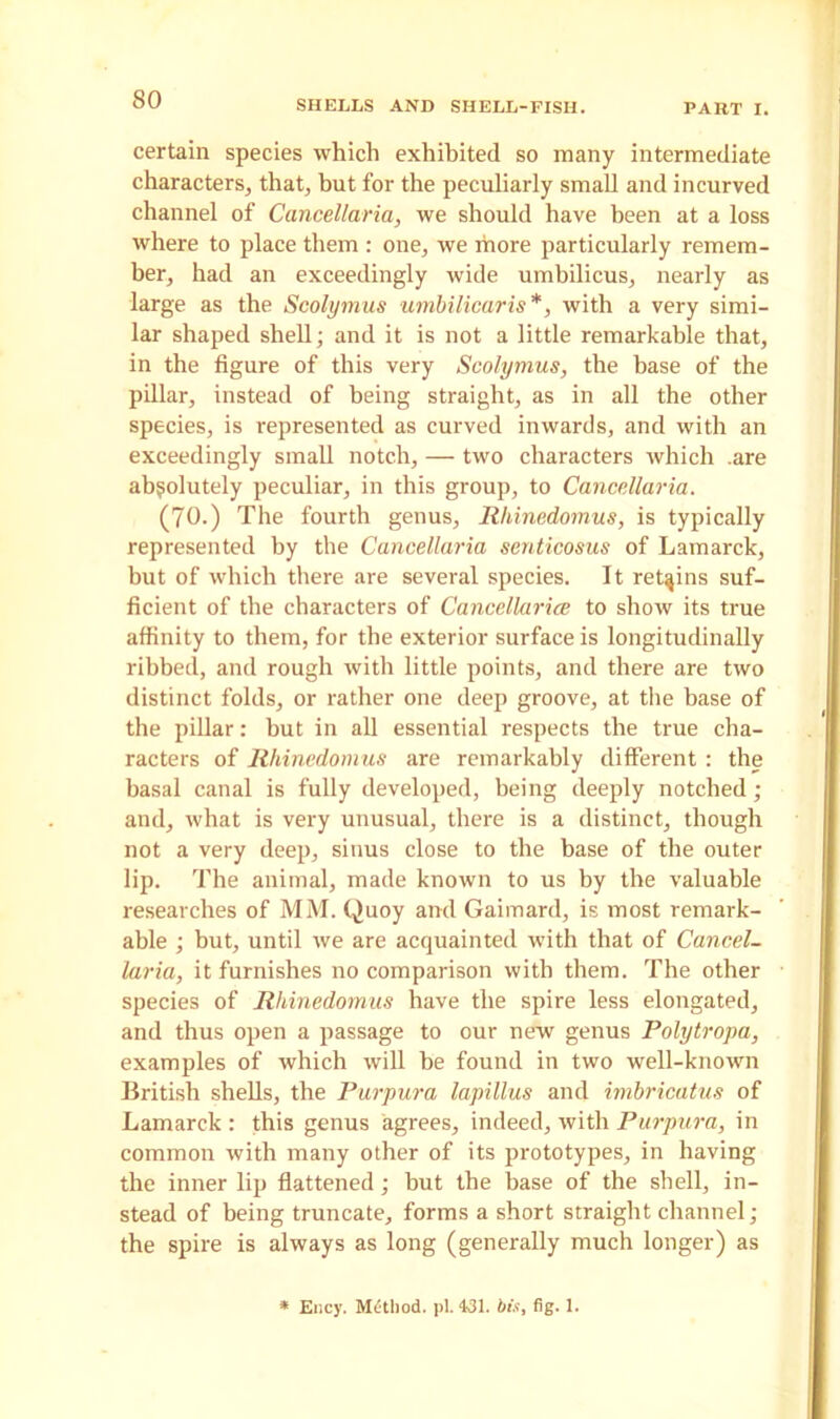 certain species which exhibited so many intermediate characters, that, but for the peculiarly small and incurved channel of Cancellaria, we should have been at a loss where to place them : one, we more particularly remem- ber, had an exceedingly wide umbilicus, nearly as large as the Scolymus umbilicaris*, with a very simi- lar shaped shell; and it is not a little remarkable that, in the figure of this very Scolymus, the base of the pillar, instead of being straight, as in all the other species, is represented as curved inwards, and with an exceedingly small notch, — two characters which .are absolutely peculiar, in this group, to Cancellaria. (70.) The fourth genus, Rhinedomus, is typically represented by the Cancellaria scnticosus of Lamarck, but of which there are several species. It retains suf- ficient of the characters of Cancellarice to show its true affinity to them, for the exterior surface is longitudinally ribbed, and rough with little points, and there are two distinct folds, or rather one deep groove, at the base of the pillar: but in all essential respects the true cha- racters of Rhinedomus are remarkably different : the basal canal is fully developed, being deeply notched; and, what is very unusual, there is a distinct, though not a very deep, sinus close to the base of the outer lip. The animal, made known to us by the valuable researches of MM. Quoy and Gaimard, is most remark- able ; hut, until we are acquainted with that of Cancel- laria, it furnishes no comparison with them. The other species of Rhinedomus have the spire less elongated, and thus open a passage to our new genus Polytropa, examples of which will he found in two well-known British shells, the Purpura lapillus and imbricatus of Lamarck : this genus agrees, indeed, with Purpura, in common with many other of its prototypes, in having the inner lip flattened; but the base of the shell, in- stead of being truncate, forms a short straight channel; the spire is always as long (generally much longer) as