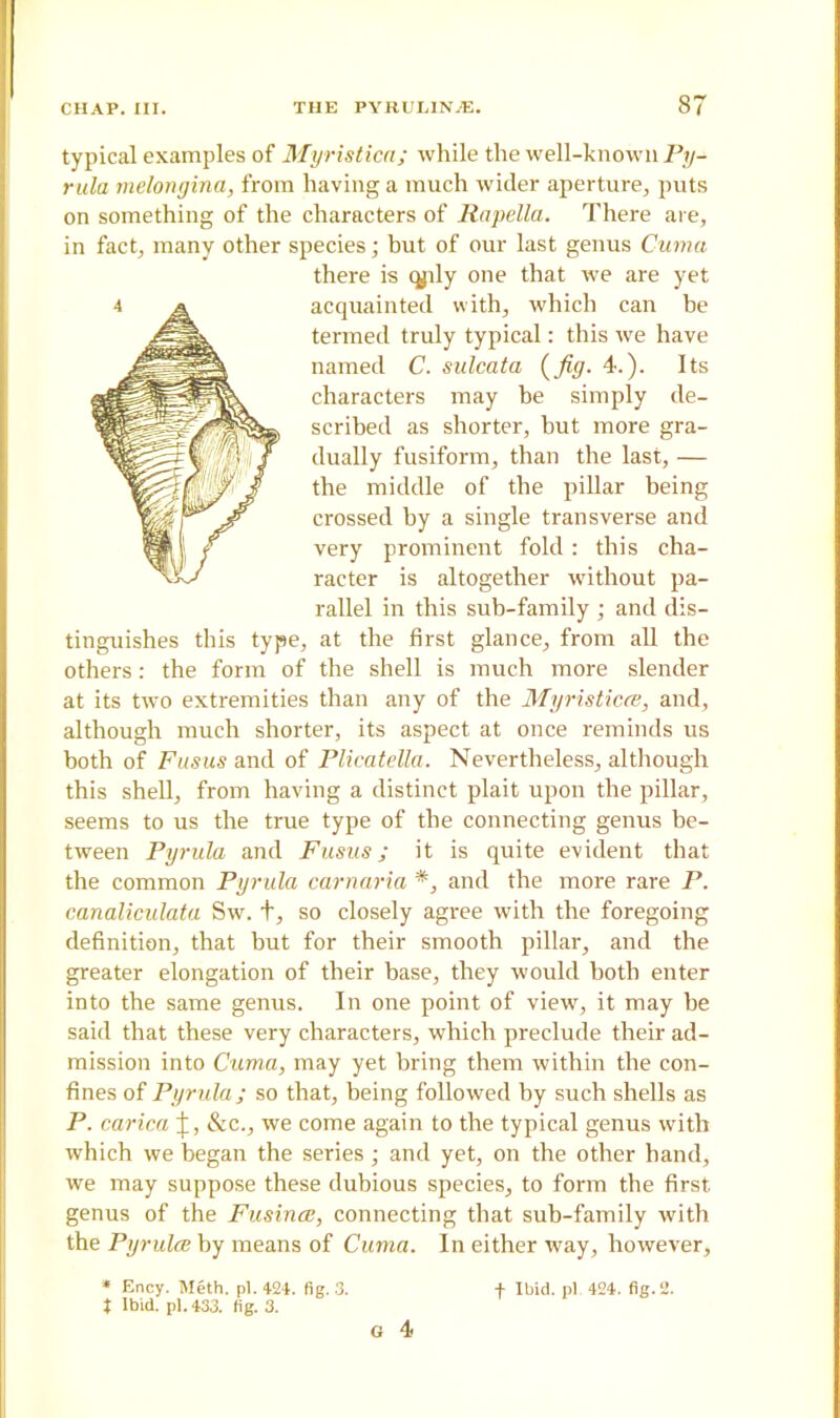 typical examples of Myristica; while the well-known Py- rula melongina, from having a much wider aperture, puts on something of the characters of Rapella. There are, in fact, many other species; but of our last genus Cuma there is qply one that we are yet acquainted with, which can be termed truly typical: this we have named C. sulcata (fig. 4.). Its characters may be simply de- scribed as shorter, but more gra- dually fusiform, than the last, — the middle of the pillar being crossed by a single transverse and very prominent fold : this cha- racter is altogether without pa- rallel in this sub-family ; and dis- tinguishes this type, at the first glance, from all the others: the form of the shell is much more slender at its two extremities than any of the Myristicce, and, although much shorter, its aspect at once reminds us both of Fusus and of Plicatella. Nevertheless, although this shell, from having a distinct plait upon the pillar, seems to us the true type of the connecting genus be- tween Pyrula and Fusus; it is quite evident that the common Pyrula carnaria *, and the more rare P. canaliculata Sw. t, so closely agree with the foregoing definition, that but for their smooth pillar, and the greater elongation of their base, they would both enter into the same genus. In one point of view, it may he said that these very characters, which preclude their ad- mission into Cuma, may yet bring them within the con- fines of Pyrula; so that, being followed by such shells as P. carica &c., we come again to the typical genus with which we began the series; and yet, on the other hand, we may suppose these dubious species, to form the first genus of the Fusince, connecting that sub-family with the Pyrulce by means of Cuma. In either way, however, * Ency. Meth. pi. 424. fig. 3. + Ibid, pi 424. fig. 2. X Ibid. pi. 433. fig. 3. G 4