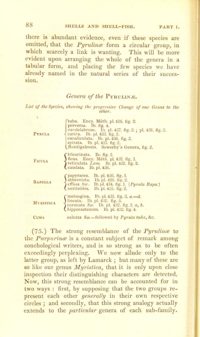 there is abundant evidence, even if these species are omitted, that the Pyrulince form a circular group, in which scarcely a link is wanting. This will be more evident upon arranging the whole of the genera in a tabular form, and placing the few species we have already named in the natural series of their succes- sion. Genera of the Pyrulinas. List of the Species, showing the progressive Change of one Genus to the other. Pyrula Ficula IlA PELLA M YUISTICA CUMA ftuba. Ency. Meth. pi. 426. fig. 2. J perversa. Ib. fig. 4. candelabrum. Ib. pi. 437. fig. 3.; pi. 438. fig. 3. carica. Ib. pi. 433. fig. 3. I canaliculata. Ib. pi. 436. fig. 3. | spirata. lb. pi. 433. fig. 2. (,Burdigalensis. Sowerby’s Genera, fig. 2. C tricarinata. Ib. fig. 3. 3 ficus. Ency. Meth. pi. 432. fig. 1. 3 reticulata Lain. Ib. pi. 432. fig. 2. (caudata. Ib.pl. 436. C papyracea. Ib. pi. 436. fig. 1. J abbreviata. Ib. pi. 426. fig. 2. y eflbsa Sw. Ib. pi. 4-34. fig. 1. (Pyrula Rapa.) (. neritoules. Ib. pi. 435. fig. 2. Cmelongina. Ib. pi. 435. fig. 3. a.—d. 3 lineata. Ib. pi. 432. fig. 5. y coronata Sw. Ib pi. 432. fig. 3. at b. C hippocastanum. lb. pi. 432. fig. 4. sulcata Sw.—followed by Pyrula tuba, &c. (75.) The strong resemblance of the Pyrulince to the Purpurince is a constant subject of remark among conchological writers, and is so strong as to be often exceedingly perplexing. We now allude only to the latter group, as left by Lamarck ; but many of these are so like our genus Myristica, that it is only upon close inspection their distinguishing characters are detected. Now, this strong resemblance can be accounted for in two ways : first, by supposing that the two groups re- present each other generally in their own respective circles ; and secondly, that this strong analogy actually extends to the particular genera of each sub-family.