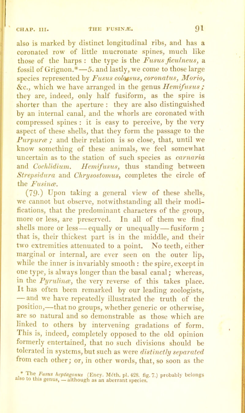 also is marked by distinct longitudinal ribs, and has a coronated row of little mucronate spines, much like those of the harps : the type is the Fusus ficulneus, a fossil of Grignon.*—5. and lastly, we come to those large species represented by Fusus colossus, coronatus, Morio, &c., which we have arranged in the gen us IIemi fusus; they are, indeed, only half fusiform, as the spire is shorter than the aperture : they are also distinguished by an internal canal, and the whorls are coronated with compressed spines : it is easy to perceive, by the very aspect of these shells, that they form the passage to the Purpura; and their relation is so close, that, until we know something of these animals, we feel somewhat uncertain as to the station of such species as cnrnaria and Cochlidium. Hemifusus, thus standing between Strepsidura and Chrysostomus, completes the circle of the Fusince. (79-) Upon taking a general view of these shells, we cannot but observe, notwithstanding all their modi- fications, that the predominant characters of the group, more or less, are preserved. In all of them we find shells more or less — equally or unequally — fusiform ; that is, their thickest part is in the middle, and their two extremities attenuated to a point. No teeth, either marginal or internal, are ever seen on the outer lip, while the inner is invariably smooth : the spire, except in one type, is always longer than the basal canal; whereas, in the Pyrulince, the very reverse of this takes place. It has often been remarked by our leading zoologists, — and we have repeatedly illustrated the truth of the position,—that no groups, whether generic or otherwise, are so natural and so demonstrable as those which are linked to others by intervening gradations of form. This is, indeed, completely opposed to the old opinion formerly entertained, that no such divisions should be tolerated in systems, but such as were distinctly separated from each other; or, in other words, that, so soon as the Fusus hcplagonus (Ency. M£th. pi. 428. fig. 7.) probably belongs also to this genus, —although as an aberrant species.