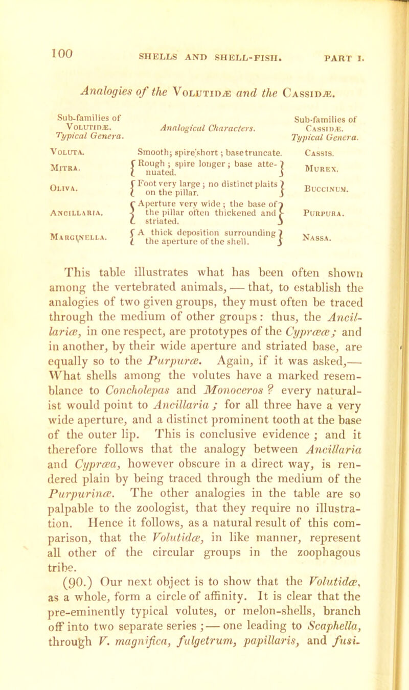 Analogies of the Volutidas and the Cassidac. Sub-families of Sub-families of V OLUTIDzE. Analogical Characters. Cassidy. Typical Genera. Typical Genera. Voluta. Smooth} spire’short; base truncate. Cassis. Mitra. C Rough ; spire longer ; base atte-1 i nuated. 3 Murex. Oliva. C Foot very large ; no distinct plaits 7 l on the pillar. 3 r Aperture very wide ; the base of7 3 the pillar often thickened and > Buccinu.m. Ancillaria. Purpura. C striated. j MARGy'fCLLA. s A thick deposition surrounding 7 i the aperture of the shell. 3 Nassa. This table illustrates what has been often shown among the vertebratecl animals, — that, to establish the analogies of two given groups, they must often be traced through the medium of other groups: thus, the Ancil- larice, in one respect, are prototypes of the Cyprcece; and in another, by their wide aperture and striated base, are equally so to the Purpurce. Again, if it was asked,— YVhat shells among the volutes have a marked resem- blance to Concliolepas and Monoceros ? every natural- ist would point to Ancillaria ; for all three have a very wide aperture, and a distinct prominent tooth at the base of the outer lip. This is conclusive evidence ; and it therefore follows that the analogy between Ancillaria and Cyprcea, however obscure in a direct way, is ren- dered plain by being traced through the medium of the Purpurince. The other analogies in the table are so palpable to the zoologist, that they require no illustra- tion. Hence it follows, as a natural result of this com- parison, that the Volutidce, in like manner, represent all other of the circular groups in the zoophagous tribe. (90.) Our next object is to show that the Volutidce. as a whole, form a circle of affinity. It is clear that the pre-eminently typical volutes, or melon-shells, branch off into two separate series ;— one leading to Scaphella, through V. magnifica, fulgetrum, papillaris, and fusi.