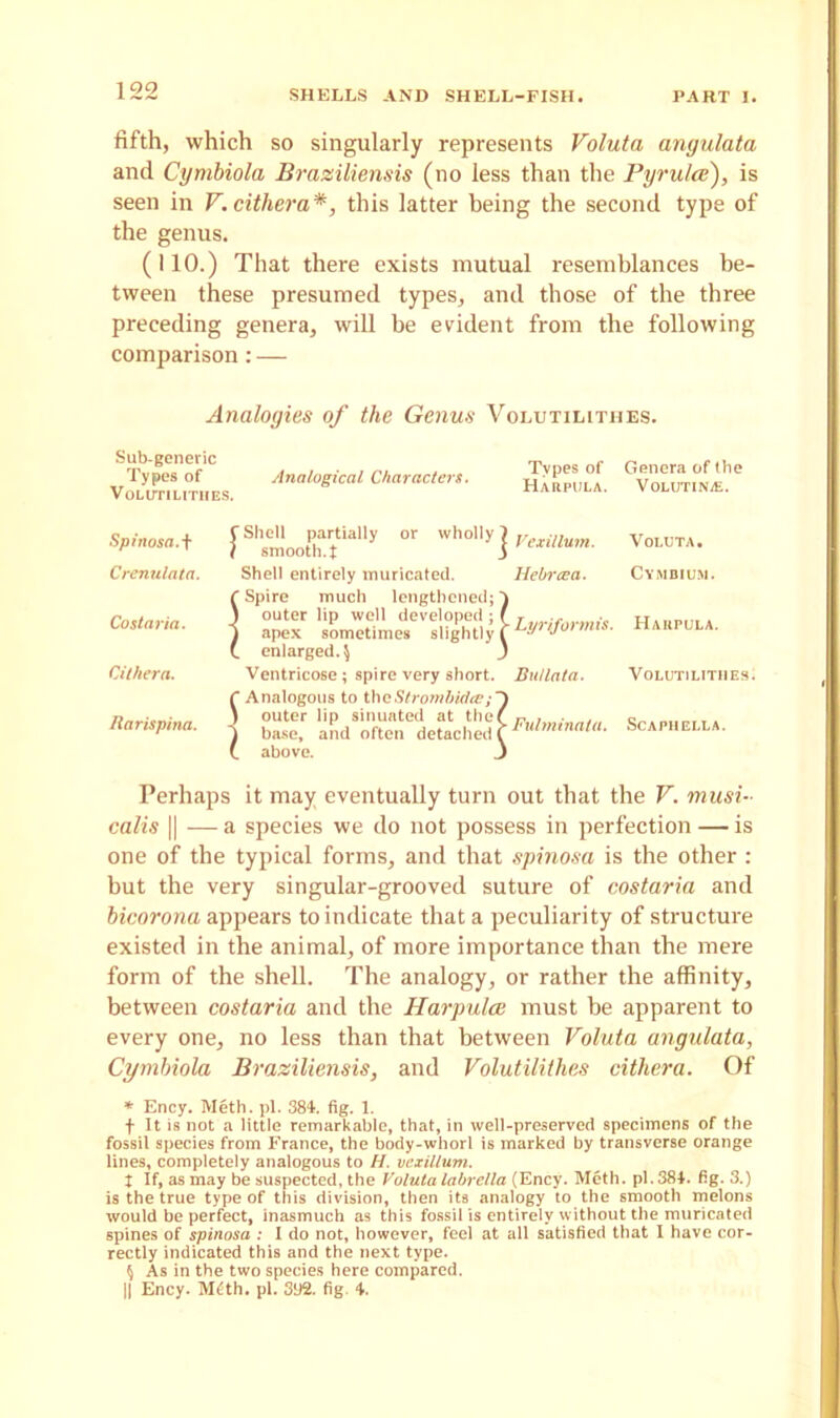 fifth, which so singularly represents Voluta angulata and Cymbiola Braziliensis (no less than the Pyrulce), is seen in V.cithera*, this latter being the second type of the genus. (110.) That there exists mutual resemblances be- tween these presumed types, and those of the three preceding genera, will be evident from the following comparison: — Analogies of the Genus Volutilithes. Sub-generic Types of Analogical Characters. Volutilithes. Types of Genera of (he Harpula. Volutin/E. Spinosa. + Crenulata. Cost aria. Cithern. Rarispina. r Shell partially or wholly 7 f smooth. X 3 Shell entirely muricated. f Spire much lengthened;) 1 outer lip well developed ; ( i apex sometimes slightly f L enlarged. $ J Ventricose; spire very short, f Analogous to thcStrombidee;~) ) outer lip sinuated at thef i base, and often detached f L above. J Vexillum. Hebrcea. Lyriformis. But lata. Fulminala. Voluta. Cymbium. Harpula. Volutilithes. Scaphella. Perhaps it may eventually turn out that the V. musi- calls || — a species we do not possess in perfection — is one of the typical forms, and that spinosa is the other : but the very singular-grooved suture of costaria and bicorona appears to indicate that a peculiarity of structure existed in the animal, of more importance than the mere form of the shell. The analogy, or rather the affinity, between costaria and the Harpulce must be apparent to every one, no less than that between Voluta angulata, Cymbiola Braziliensis, and Volutilithes cithera. Of * Ency. Meth. pi. 384. fig. 1. f It is not a little remarkable, that, in well-preserved specimens of the fossil species from France, the body-whorl is marked by transverse orange lines, completely analogous to H. vexillum. t If, as may be suspected, the Voluta labrella (Ency. Meth. pi. 384. fig. 3.) is the true type of this division, then its analogy to the smooth melons would be perfect, inasmuch as this fossil is entirely without the muricated spines of spinosa : I do not, however, feel at all satisfied that 1 have cor- rectly indicated this and the next type. $ As in the two species here compared. || Ency. M£th. pi. 392. fig 4.