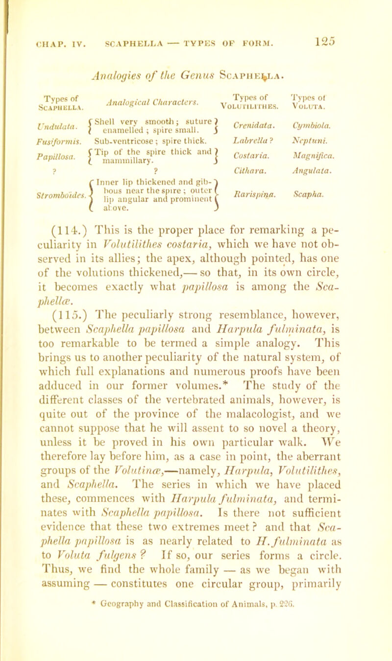 Analogies of the Genus Scaphe%la. Types of SCAPHELLA. A n a logic a l Characters. Types of Types of VoLU 11 LI i llES. VOLUTA. Undulata. Fusiformis. Papillosa. p Stromboides. C Shell very smooth; suture ? { enamelled ; spire small. j Sub-ventricose; spire thick. CTip of the spire thick and? £ mammillary. j ? C Inner lip thickened and gib- ) hous near the spire ; outer ( 1 lip angular and prominent f ( alove. j Crenidata. Labreila ? Costaria. Cithara. Rarispiija. Cymbiola. Ncptuni. Magnifica. Angulata. Scapha. (114.) This is the proper place for remarking a pe- culiarity in Volutilithes costaria, which we have not ob- served in its allies; the apex, although pointed, has one of the volutions thickened,— so that, in its own circle, it becomes exactly what papillosa is among the Sca- phellce. (115.) The peculiarly strong resemblance, however, between Scaphella papillosa and Harpula fulminata, is too remarkable to be termed a simple analogy. This brings us to another peculiarity of the natural system, of which full explanations and numerous proofs have been adduced in our former volumes.* The study of the different classes of the vertebrated animals, however, is quite out of the province of the malacologist, and we cannot suppose that he will assent to so novel a theory, unless it be proved in his own particular walk. We therefore lay before him, as a case in point, the aberrant groups of the Volutince,—namely, Harpula, Volutilithes, and Scaphella. The series in which we have placed these, commences with Harpula fulminata, and termi- nates with Scaphella papillosa. Is there not sufficient evidence that these two extremes meet ? and that Sca- phella papillosa is as nearly related to H. fulminata as to Valuta fulgens ? If so, our series forms a circle. Thus, we find the whole family — as we began with assuming — constitutes one circular group, primarily Geography ami Classification of Animals, p. 22G.