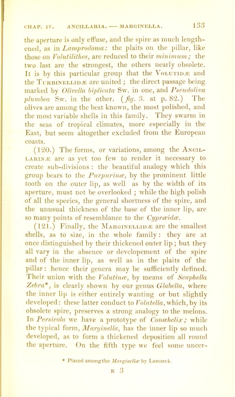 the aperture is only effuse, and the spire as much length- ened, as in Lamprodoma: the plaits on the pillar, like those on Volutilithes, are reduced to their minimum; the two last are the strongest, the others nearly obsolete. It is by this particular group that the Volutidaj and the Turbinellidje are united ; the direct passage being marked by Olivella biplicuta Sw. in one, and Pseudoliva plumbea Sw. in the other, {fig. 3. at p. 82.) The olives are among the best known, the most polished, and the most variable shells in this family. They swarm in the seas of tropical climates, more especially in the East, but seem altogether excluded from the European coasts. (120.) The forms, or variations, among the Ancil- larinve are as yet too few to render it necessary to create sub-divisions : the beautiful analogy which this group bears to the Purpurince, by the prominent little tooth on the outer lip, as well as by the width of its aperture, must not be overlooked ; while the high polish of all the species, the general shortness of the spire, and the unusual thickness of the base of the inner lip, are so many points of resemblance to the Cyprceidce. (121.) Finally, the Marginellidje are the smallest shells, as to size, in the whole family: they are at once distinguished by their thickened outer lip; but they all vary in the absence or developement of the spire and of the inner lip, as well as in the plaits of the pillar: hence their genera may be sufficiently defined. Their union with the Volutinre, by means of Scaphella Zebra*, is clearly shown by our genus Glabella, where the inner lip is either entirely wanting or but slightly developed: these latter conduct to Volutella, which, by its obsolete spire, preserves a strong analogy to the melons. In Persicola we have a prototype of Concehelix ; while the typical form, Marginella, has the inner lip so much developed, as to form a thickened deposition all round the aperture. On the fifth type we feel some uncer- * Placed among the Marginella; by Lamarck.