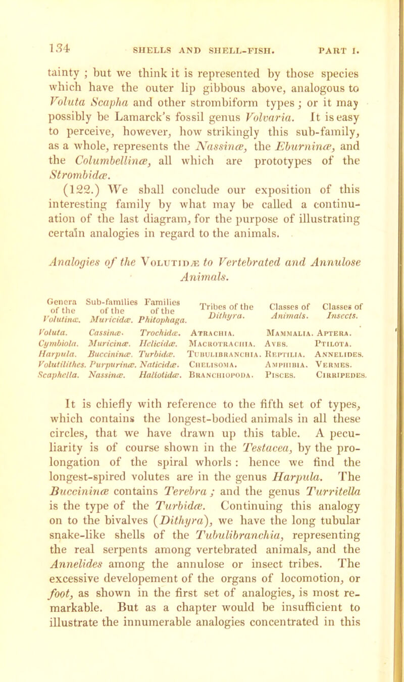 tainty ; but we think it is represented by those species which have the outer lip gibbous above, analogous to Valuta Scapha and other strombiform types • or it may possibly be Lamarck’s fossil genus Volvaria. It is easy to perceive, however, how strikingly this sub-family, as a whole, represents the Nassince, the Eburnince, and the Columbellina■, all which are prototypes of the Strombidce. (122.) We shall conclude our exposition of this interesting family by what may be called a continu- ation of the last diagram, for the purpose of illustrating certain analogies in regard to the animals. Analogies of the Volttin,e to Vertebrated and Annulose Animals. Genera Sub-families Families of the of the of the VolutincL. Muricidce. Phitophaga. Tribes of the Ditliyra. Classes of Classes of Animals. Insects. Voluta. Cassince. Trochidai. Atrachia. Mammalia. Aptera. Cymbiola. Muricince. Hclicidce. Macuotraciiia. Avbs. Ptilota. Harpula. Buccinincc. Turbidce. Tubulibranciiia. Reptilia. Annelides. Volutilithcs. Purpurincc. Nalicidce. Chelisoma. Amphibia. Vermes. Scaphc/la. Nassince. Haliotidcc. Branciiiopoda. Pisces. Ciiiripedes. It is chiefly with reference to the fifth set of types, which contains the longest-bodied animals in all these circles, that we have drawn up this table. A pecu- liarity is of course shown in the Testacea, by the pro- longation of the spiral whorls: hence we find the longest-spired volutes are in the genus Harpula. The Buccinince contains Terebra ; and the genus Turritella is the type of the Turbidce. Continuing this analogy on to the bivalves (Ditliyra), we have the long tubular snake-like shells of the Tubulibranciiia, representing the real serpents among vertebrated animals, and the Annelides among the annulose or insect tribes. The excessive developement of the organs of locomotion, or foot, as shown in the first set of analogies, is most re- markable. But as a chapter would be insufficient to illustrate the innumerable analogies concentrated in this