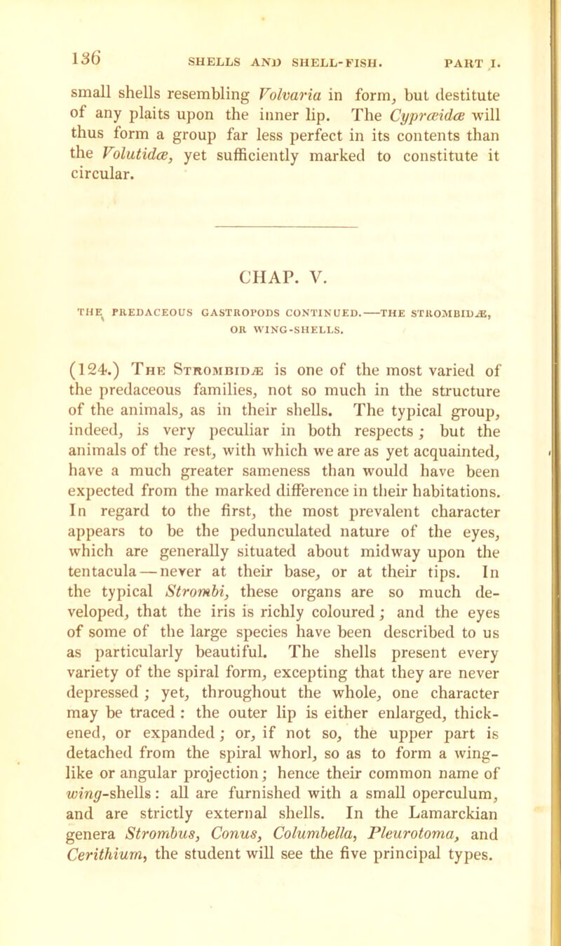 small shells resembling Volvaria in form, but destitute of any plaits upon the inner lip. The Cypraidce will thus form a group far less perfect in its contents than the Volutidce, yet sufficiently marked to constitute it circular. CHAP. V. THE PREDACEOUS GASTROPODS CONTINUED. THE STROMBIDAE, OR WING-SHELLS. (124.) The Strombid.® is one of the most varied of the predaceous families, not so much in the structure of the animals, as in their shells. The typical group, indeed, is very peculiar in both respects; but the animals of the rest, with which we are as yet acquainted, have a much greater sameness than would have been expected from the marked difference in their habitations. In regard to the first, the most prevalent character appears to be the pedunculated nature of the eyes, which are generally situated about midway upon the tentacula — never at their base, or at their tips. In the typical Strombi, these organs are so much de- veloped, that the iris is richly coloured; and the eyes of some of the large species have been described to us as particularly beautiful. The shells present every variety of the spiral form, excepting that they are never depressed; yet, throughout the whole, one character may be traced: the outer lip is either enlarged, thick- ened, or expanded; or, if not so, the upper part is detached from the spiral whorl, so as to form a wing- like or angular projection; hence their common name of wira^-shells: all are furnished with a small operculum, and are strictly external shells. In the Lamarckian genera Strombus, Conus, Columbella, Pleurotoma, and Cerithiurn, the student will see the five principal types.