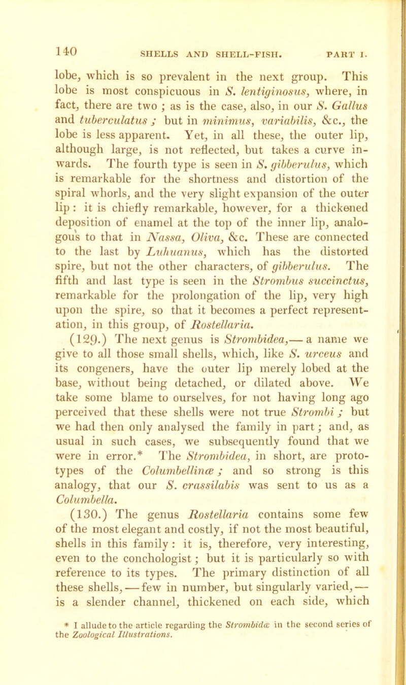 lobe, which is so prevalent in the next group. This lobe is most conspicuous in S. lentiginosus, where, in fact, there are two ; as is the case, also, in our S. Gallus and tuberculatus ; but in minimus, variabilis, Sec., the lobe is less apparent. Yet, in all these, the outer lip, although large, is not reflected, but takes a curve in- wards. The fourth type is seen in S. gibberulus, which is remarkable for the shortness and distortion of the spiral whorls, and the very slight expansion of the outer lip: it is chiefly remarkable, however, for a thickened deposition of enamel at the top of the inner lip, analo- gous to that in JVassa, Oliva, See. These are connected to the last by Luhuanus, which has the distorted spire, but not the other characters, of gibberulus. The fifth and last type is seen in the Strombus succinctus, remarkable for the prolongation of the lip, very high upon the spire, so that it becomes a perfect represent- ation, in this group, of Rostellaria. (129-) The next genus is Strombidea,— a name we give to all those small shells, which, like S. urceus and its congeners, have the outer lip merely lobed at the base, without being detached, or dilated above. We take some blame to ourselves, for not having long ago perceived that these shells were not true Strombi; but we had then only analysed the family in part; and, as usual in such cases, we subsequently found that we were in error.* The Strombidea, in short, are proto- types of the Columbellince; and so strong is this analogy, that our S. crassilabis was sent to us as a Columbella. (130.) The genus Rostellaria contains some few of the most elegant and costly, if not the most beautiful, shells in this family: it is, therefore, very interesting, even to the conchologist; but it is particularly so with reference to its types. The primary distinction of all these shells, — few in number, but singularly varied,— is a slender channel, thickened on each side, which * I allude to the article regarding the Strombidai in the second series of the Zoological Illustrations.