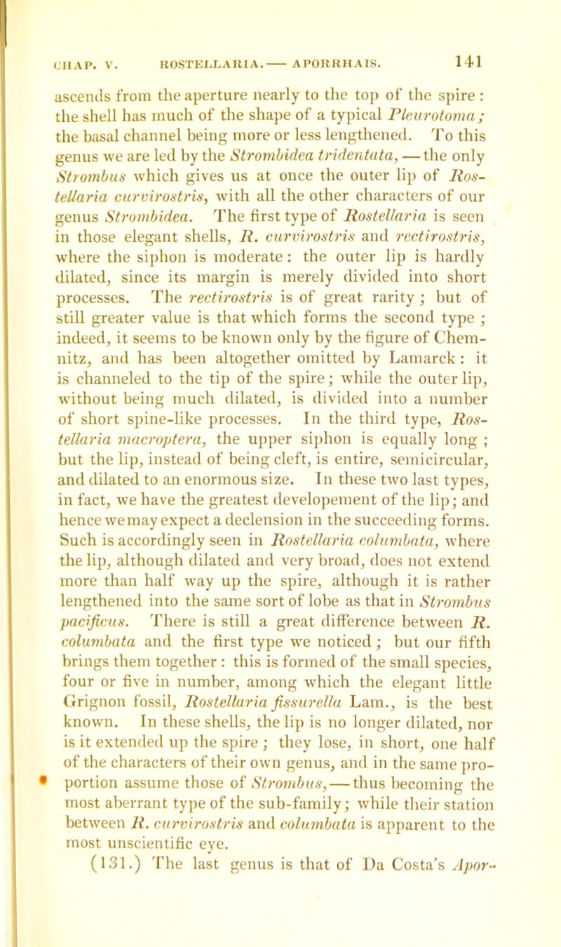 ascends from the aperture nearly to the top of the spire : the shell has much of the shape of a typical Pleurotoma; the basal channel being more or less lengthened. To this genus we are led by the Strombidea tridentata, —the only Strombus which gives us at once the outer lip of Ros- tellaria curvirostris, with all the other characters of our genus Strombidea. The first type of Rostellaria is seen in those elegant shells, R. curvirostris and rectirostris, where the siphon is moderate: the outer lip is hardly dilated, since its margin is merely divided into short processes. The rectirostris is of great rarity; but of still greater value is that which forms the second type ; indeed, it seems to be known only by the figure of Chem- nitz, and has been altogether omitted by Lamarck : it is channeled to the tip of the spire; while the outer lip, without being much dilated, is divided into a number of short spine-like processes. In the third type, Ros- tellaria macroptera, the upper siphon is equally long ; but the lip, instead of being cleft, is entire, semicircular, and dilated to an enormous size. In these two last types, in fact, we have the greatest developement of the lip; and hence we may expect a declension in the succeeding forms. Such is accordingly seen in Rostellaria columbata, where the lip, although dilated and very broad, does not extend more than half way up the spire, although it is rather lengthened into the same sort of lobe as that in Strombus pacificus. There is still a great difference between R. columbata and the first type we noticed; but our fifth brings them together : this is formed of the small species, four or five in number, among which the elegant little Grignon fossil, Rostellaria fissurella Lam., is the best known. In these shells, the lip is no longer dilated, nor is it extended up the spire ; they lose, in short, one half of the characters of their own genus, and in the same pro- • portion assume those of Strombus, — thus becoming the most aberrant type of the sub-family; while their station between II. curvirostris and columbata is apparent to the most unscientific eye. (131.) The last genus is that of Da Costa’s Apor-