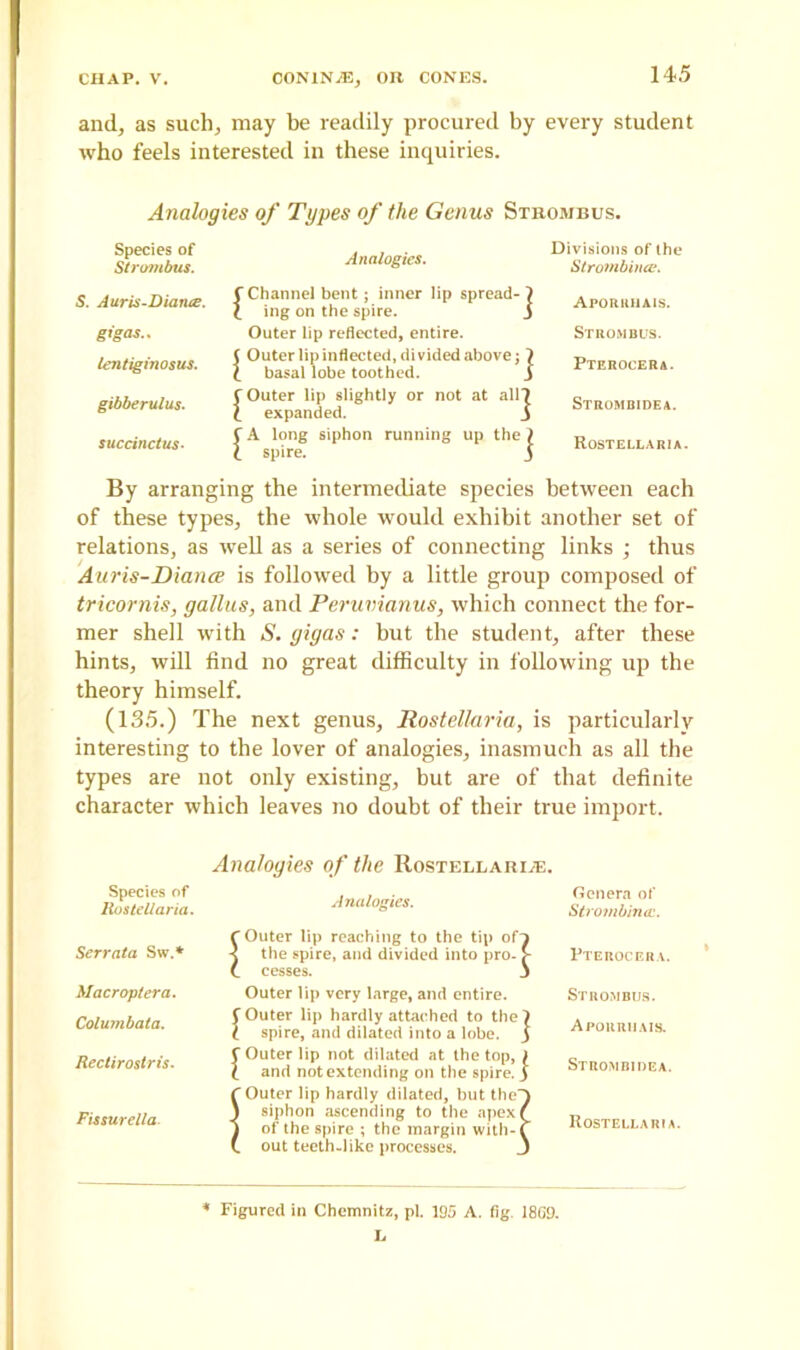 and, as such, may be readily procured by every student who feels interested in these inquiries. Analogies of Types of the Genus Stroiubus. Species of Strombus. Analogies. Divisions of the Strornbince. S. Auris-Diante. f Channel J*nt >.‘nncr UP sPread- \ Aporhha.s. i mg on the spire. 3 gt'gas.. Outer lip reflected, entire. Strombus. t^inosus. {°CaKfoXlVidedab°Ve;] gibberulus. [0expandedHghtly °r ”0t “ *} Stromb.de*. succinct us- p^long siphon running up thej Roste,.labia. By arranging the intermediate species between each of these types, the whole would exhibit another set of relations, as well as a series of connecting links ; thus Auris-Dianee is followed by a little group composed of tricornis, gallus, and Peruvianus, which connect the for- mer shell with S. gigas: but the student, after these hints, will find no great difficulty in following up the theory himself. (135.) The next genus, Rostellaria, is particularly interesting to the lover of analogies, inasmuch as all the types are not only existing, but are of that definite character which leaves no doubt of their true import. Analogies of the Rostellaria. Species of Rostellaria. Analogies. Genera of Strornbince. Serrata Sw.* f Outer lip reaching to the tip of ) •1 the spire, and divided into pro- >■ FT E ROC ERA. t cesses. _ > Macroptera. Outer lip very large, and entire. Strombus. Columbata. COuter lip hardly attached to the; i spire, and dilated into a lobe. | Aporrhais. Rectirostris. f Outer lip not dilated at the top, j i and notextending on the spire. J J Strombidea. C Outer lip hardly dilated, but the ) Fissurella. ) siphon ascending to the apex ( 1 of the spire ; the margin with-1 A out teeth-like processes. - Rostellaria * Figured in Chemnitz, pi. 195 A. fig. 18G9. L