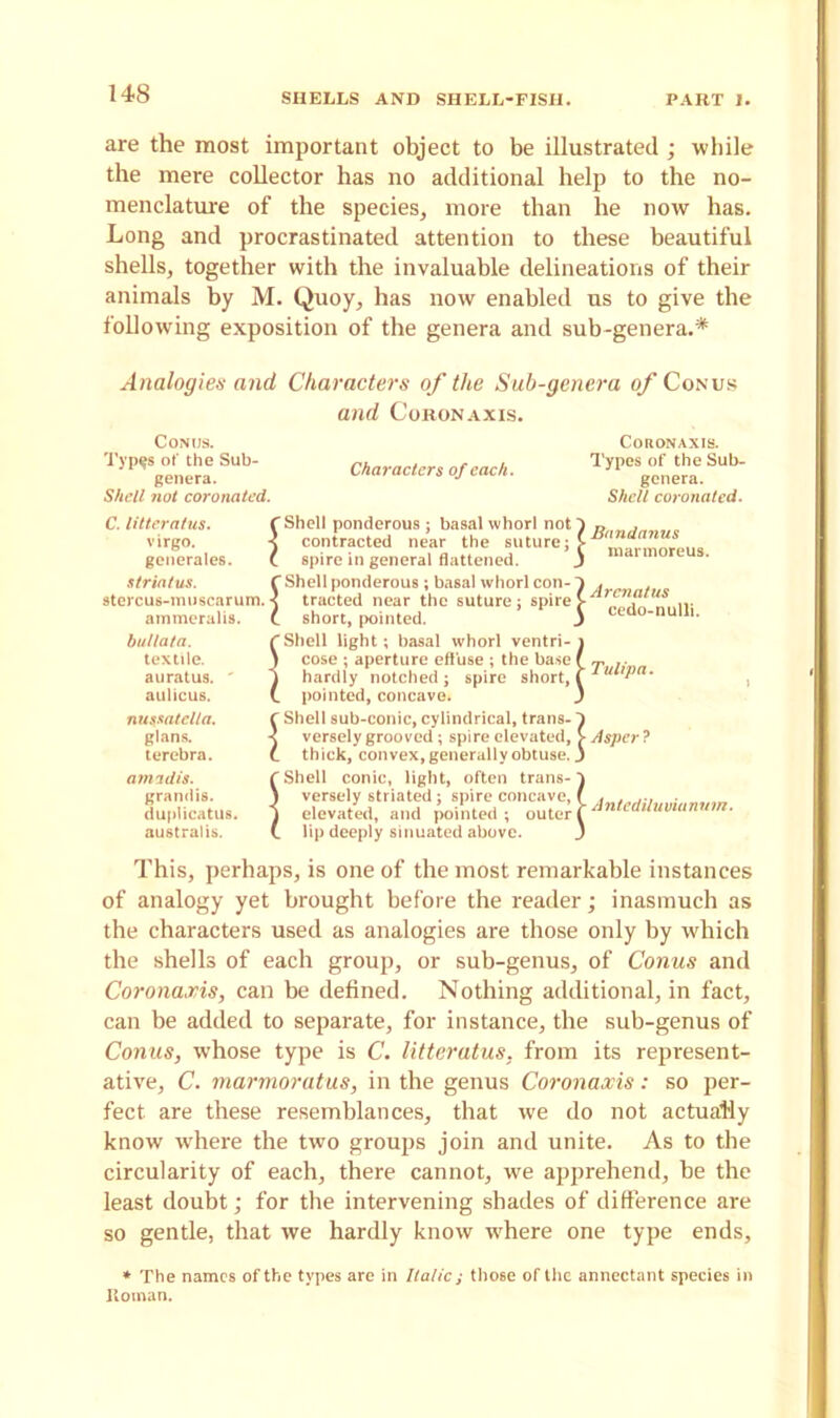 are the most important object to be illustrated; while the mere collector has no additional help to the no- menclature of the species, more than he now has. Long and procrastinated attention to these beautiful shells, together with the invaluable delineations of their animals by M. Quoy, has now enabled us to give the following exposition of the genera and sub-genera.* Analogies and Characters of the Sub-genera of Conus and Coronaxis. Conus. Typgs of the Sub- genera. Shell not coronated. Characters of each. Coronaxis. Types of the Sub- genera. Shell coronated. C. litteratus. virgo. generates. striatus. stercus-muscarum. ammeralis. bullata. textile, auratus. ' aulicus. nussatcl/a. glans. terebra. amadis. grandis. duplicatus. australis. C Shell ponderous ; basal whorl not contracted near the suture; C spire in general flattened, f Shell ponderous ; basal whorl con- s tracted near the suture; spire C short, pointed, fShell light; basal whorl ventri- \ cose ; aperture eff use ; the base i hardly notched; spire short, (. pointed, concave, r Shell sub-conic, cylindrical, trans- < versely grooved ; spire elevated, C thick, convex, generally obtuse. C Shell conic, light, often trans- \ versely striated; spire concave, \ elevated, and pointed ; outer (. lip deeply sinuated above. I ] I I I Bandanus marmoreus. Arenatus cedo-nulli. Tulip a. Asper ? A ntedilu via n nm. This, perhaps, is one of the most remarkable instances of analogy yet brought before the reader; inasmuch as the characters used as analogies are those only by which the shells of each group, or sub-genus, of Conus and Coronaxis, can be defined. Nothing additional, in fact, can be added to separate, for instance, the sub-genus of Conus, whose type is C. litteratus, from its represent- ative, C. marmoratus, in the genus Coronaxis: so per- fect are these resemblances, that we do not actually know where the two groups join and unite. As to the circularity of each, there cannot, we apprehend, be the least doubt; for the intervening shades of difference are so gentle, that we hardly know where one type ends. * The names of the types are in Italic; those of the annectant species in Roman.