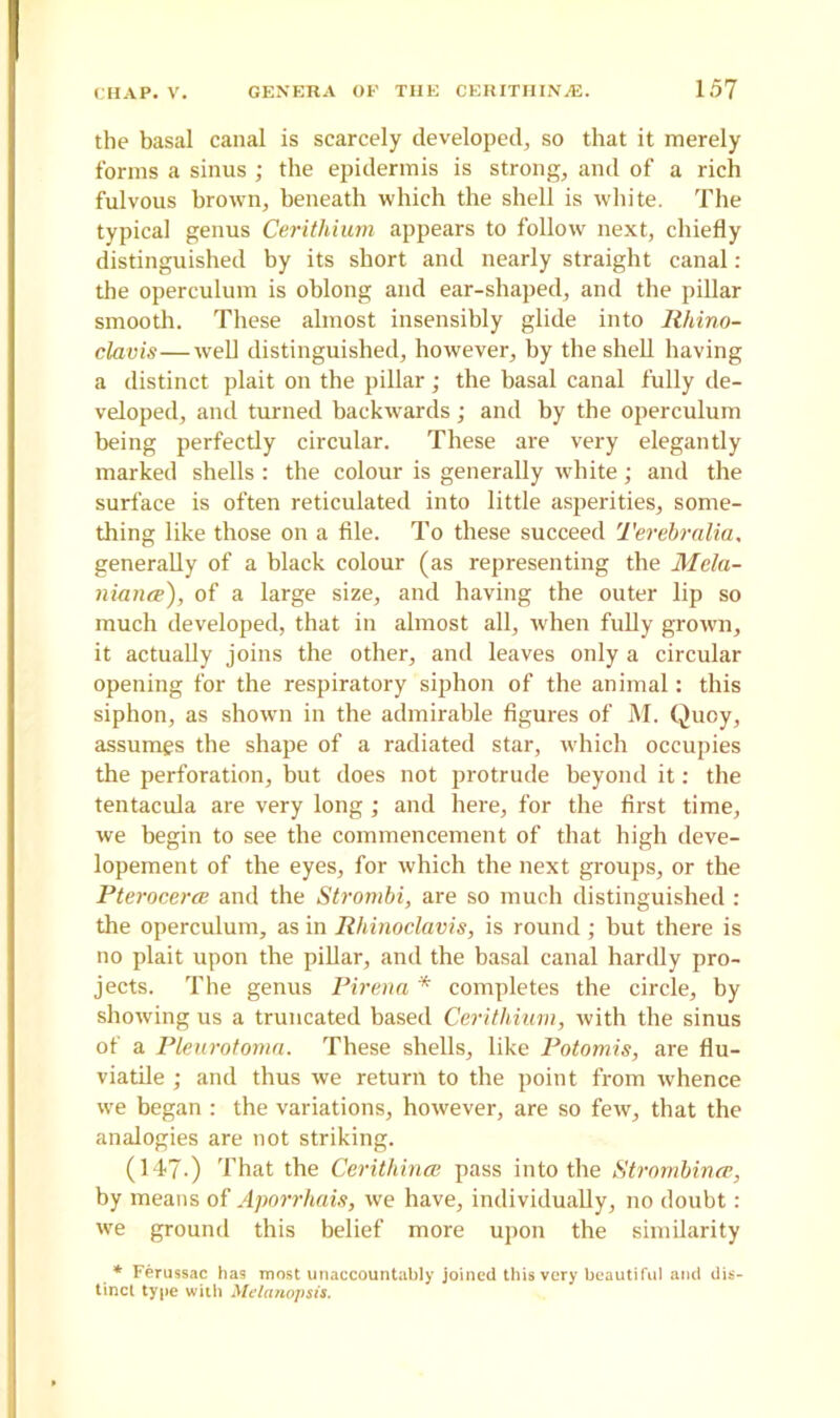 the basal canal is scarcely developed, so that it merely forms a sinus ; the epidermis is strong, and of a rich fulvous brown, beneath which the shell is white. The typical genus Cerithium appears to follow next, chiefly distinguished by its short and nearly straight canal: the operculum is oblong and ear-shaped, and the pillar smooth. These almost insensibly glide into Rhino- clavis—well distinguished, however, by the shell having a distinct plait on the pillar; the basal canal fully de- veloped, and turned backwards ; and by the operculum being perfectly circular. These are very elegantly marked shells : the colour is generally white; and the surface is often reticulated into little asperities, some- thing like those on a file. To these succeed Terebralia, generally of a black colour (as representing the Mela- nianat), of a large size, and having the outer lip so much developed, that in almost all, when fully grown, it actually joins the other, and leaves only a circular opening for the respiratory siphon of the animal: this siphon, as shown in the admirable figures of M. Quoy, assumes the shape of a radiated star, which occupies the perforation, but does not protrude beyond it: the tentacula are very long; and here, for the first time, we begin to see the commencement of that high deve- lopement of the eyes, for which the next groups, or the Pterocerce and the Strombi, are so much distinguished : the operculum, as in Rhinoclavis, is round ; but there is no plait upon the pillar, and the basal canal hardly pro- jects. The genus Pirena * completes the circle, by showing us a truncated based Cerithium, with the sinus of a Pleurotoma. These shells, like Potomis, are flu- viatile ; and thus we return to the point from whence we began : the variations, however, are so few, that the analogies are not striking. (147-) That the Cerithince pass into the Strombince, by means of Aporrhais, we have, individually, no doubt: we ground this belief more upon the similarity * Ferussac has most unaccountably joined this very beautiful and dis- tinct type with Melanopsis.
