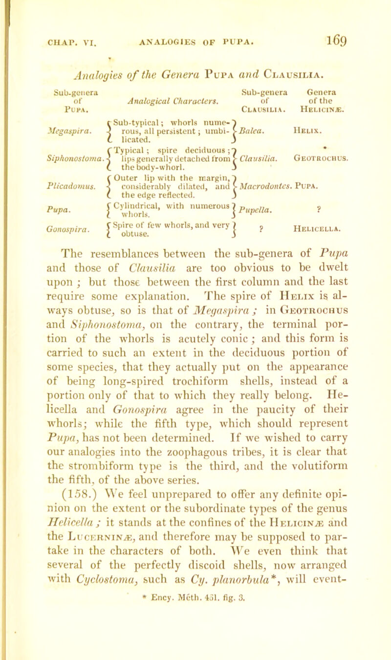 Analogies of the Genera Pupa and Clausilia. Sub-genera of Pupa. Analogical Characters. Sub-genera Genera Of of the Clausilia. Helicin.®. Megaspira. Siphonostoma. Plicadomus. Papa. Gonospira. leO bi- m £ ( Sub-typical; whorls nume-' rous, all persistent; urabi- yBalea. IIelix. licated. f Typical ; spire deciduous; < lips generally detached from [- Clausilia. Geotrochus. C the body-whorl. C Outer lip with the margin,7 3 considerably dilated, and Macrodontcs. Pupa. the edge reflected, f Cylindrical, with numerous , £ whorls. s | Pupella. C Spire of few whorls, and very 7 t obtuse. 3 Helicella. The resemblances between the sub-genera of Pupa and those of Clausilia are too obvious to be dwelt upon ; but those between the first column and the last require some explanation. The spire of Helix is al- ways obtuse, so is that of Megaspira ; in Geotrochus and Siphonostoma, on the contrary, the terminal por- tion of the whorls is acutely conic ; and this form is carried to such an extent in the deciduous portion of some species, that they actually put on the appearance of being long-spired trochiform shells, instead of a portion only of that to which they really belong. He- licella and Gonospira agree in the paucity of their whorls; while the fifth type, which should represent Pupa, has not been determined. If we wished to carry our analogies into the zoophagous tribes, it is clear that the strombiform type is the third, and the volutiform the fifth, of the above series. (158.) We feel unprepared to offer any definite opi- nion on the extent or the subordinate types of the genus Helicella ; it stands at the confines of the Helicinje and the Lucerninje, and therefore may be supposed to par- take in the characters of both. We even think that several of the perfectly discoid shells, now arranged with Cyclostoma, such as Cy. planorbula*, will event- * Ency. Mcth. 451. fig. 3.