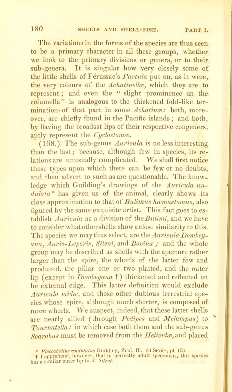 The variations in the forms of the species are thus seen to be a primary character in all these groups, whether we look to the primary divisions or genera, or to their sub-genera. It is singular how very closely some of the little shells of Ferussac’s Partula put on, as it were, the very colours of the Achatinellee, which they are to represent; and even the “ slight prominence on the columella” is analogous to the thickened fold-like ter- mination' of that part in some Achatince: both, more- over, are chiefly found in the Pacific islands; and both, by having the broadest lips of their respective congeners, aptly represent the Cyclostomce. (168.). The sub -genus Auricula is no less interesting than the last; because, although few in species, its re- lations are unusually complicated. We shall first notice those types upon which there can he few or no doubts, and then advert to such as are questionable. The know- ledge which Guilding’s drawings of the Auricula un- dulata* has given us of the animal, clearly shows its close approximation to that of Bulimus hcumastomus, also figured by the same exquisite artist. This fact goes to es- tablish Auricula as a division of theBulimi, and we have to consider whatothershells showaclose similarity to this. The species we may thus select, are the A uricula Dombcy- ana, Auris-Leporis, Sileni, and Bovina ; and the whole group may be described as shells with the aperture rather larger than the spire, the whorls of the latter few and produced, the pillar one or two plaited, and the outer lip (except in Dombeyana +) thickened and reflected on he external edge. This latter definition would exclude Auricula midat, and those other dubious terrestrial spe- cies whose spire, although much shorter, is composed of more whorls. We suspect, indeed, that these latter shells are nearly allied (through Pedipes and Melampus) to Tournatella; in which case both them and the sub-genus Scarabus must be removed from the Helicidce, and placed * Plecocheilus undulatus Guilding, Zool. 111. 2d Series.pl. 103. t 1 apprehend, however, that in perfectly adult specimens, this species has a similar outer lip to A. Sileni.