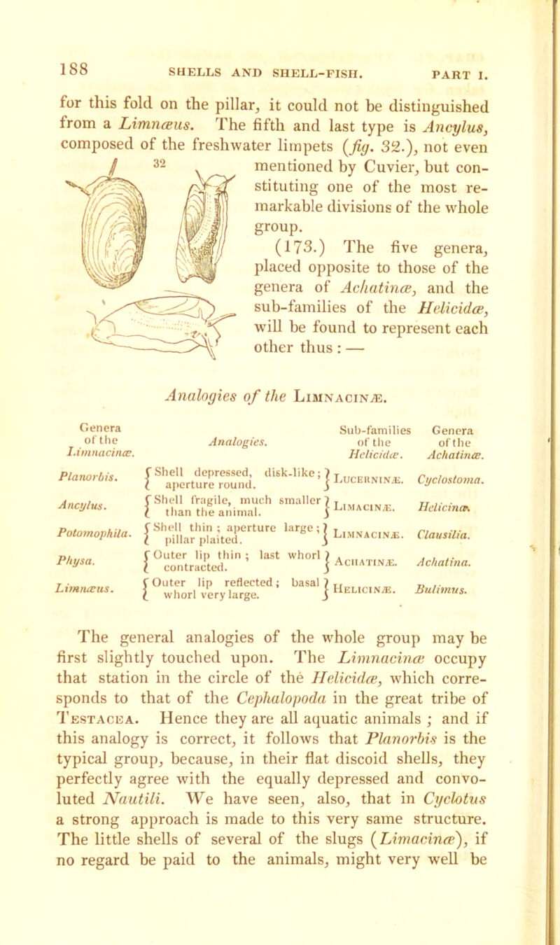 for this fold on the pillar, it could not be distinguished from a Limnceus. The fifth and last type is Ancylus, mentioned by Cuvier, but con- stituting one of the most re- markable divisions of the whole group. (173.) The five genera, placed opposite to those of the genera of Ackatince, and the sub-families of the Helicidce, will he found to represent each other thus: — of the Limnacinje. Genera Sub-families Genera of the Analogies. of the of the Limnacince. Helicidce. Ackatince. Planorbis. CShell depressed, disk-like;, ( aperture round. ! IaJCERNIN/E. Cyclostoma. Ancylus. (Shell fragile, much smaller \ X than the animal. J J LiMACINiE. Helicinos Potomophila. (Shell thin; aperture large;] l pillar plaited. j Limnacina;. Clausilia. P/iysa. ( Outer lip thin ; last whorl J X contracted. J 1 AcilATINyE. Achatina. him turns. C Outer lip reflected; basal j X whorl very large. j • Helicin/e. Bulimies. The general analogies of the whole group may he first slightly touched upon. The Limnacince occupy that station in the circle of the Helicidce, which corre- sponds to that of the Cephalopoda in the great tribe of Testacea. Hence they are all aquatic animals ; and if this analogy is correct, it follows that Planorbis is the typical group, because, in their flat discoid shells, they perfectly agree with the equally depressed and convo- luted Nautili. We have seen, also, that in Cyclotits a strong approach is made to this very same structure. The little shells of several of the slugs (Limacince), if no regard be paid to the animals, might very well be