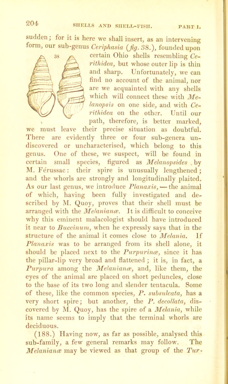 PART I. sudden; for it is here we shall insert, as an intervening form, our sub-genus Ceriphasia (Jig. 38.), founded upon certain Ohio shells resembling Ce- rithidea, but whose outer lip is thin and sharp. Unfortunately, we can find no account of the animal, nor are we acquainted with any shells which will connect these with Me- lanopsis on one side, and with Ce- rithidea on the other. Until our path, therefore, is better marked, we must leave their precise situation as doubtful. There are evidently three or four sub-genera un- discovered or uncharacterised, which belong to this genus. One of these, we suspect, will be found in certain small species, figured as Melanopsides by M. Ferussac: their spire is unusually lengthened; and the whorls are strongly and longitudinally plaited. As our last genus, we introduce Planaxis, — the animal of which, having been fully investigated and de- scribed by M. Quoy, proves that their shell must be arranged with the Me/aniance. It is difficult to conceive why this eminent malacologist should have introduced it near to Buccinum, when he expressly says that in the structure of the animal it comes close to Melania. If Planaxis was to be arranged from its shell alone, it should be placed next to the Purpurince, since it has the pillar-lip very broad and flattened ; it is, in fact, a Purpura among the Me/aniance, and, like them, the eyes of the animal are placed on short peduncles, close to the base of its two long and slender tentacula. Some of these, like the common species, P. subsulcata, has a very short spire; but another, the P. decollata, dis- covered by M. Quoy, has the spire of a Melania, while its name seems to imply that the terminal whorls are deciduous. (188.) Having now, as far as possible, analysed this sub-family, a few general remarks may follow. The Melaniance may be viewed as that group of the Tur-